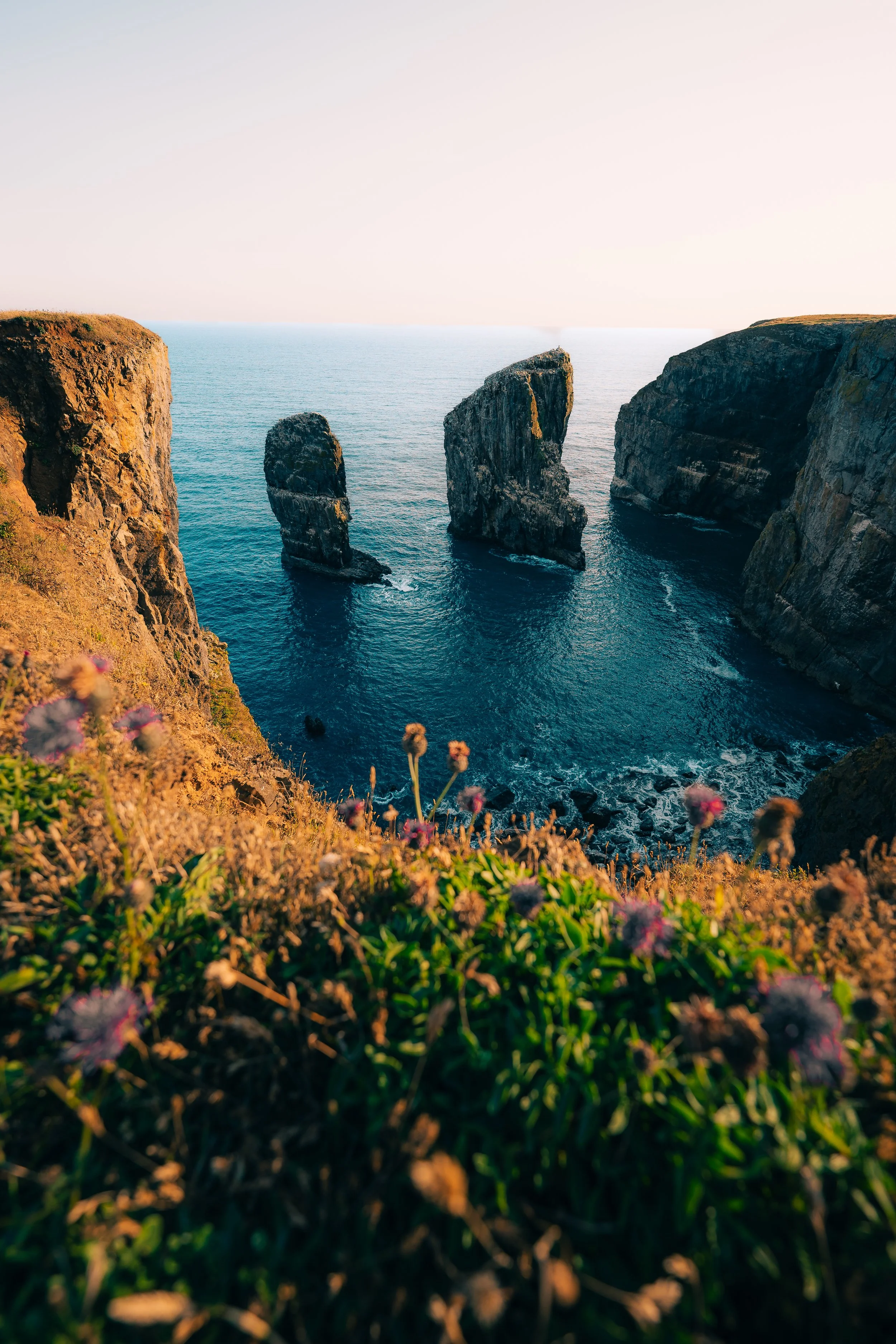 P1090867_Original 2.jpg