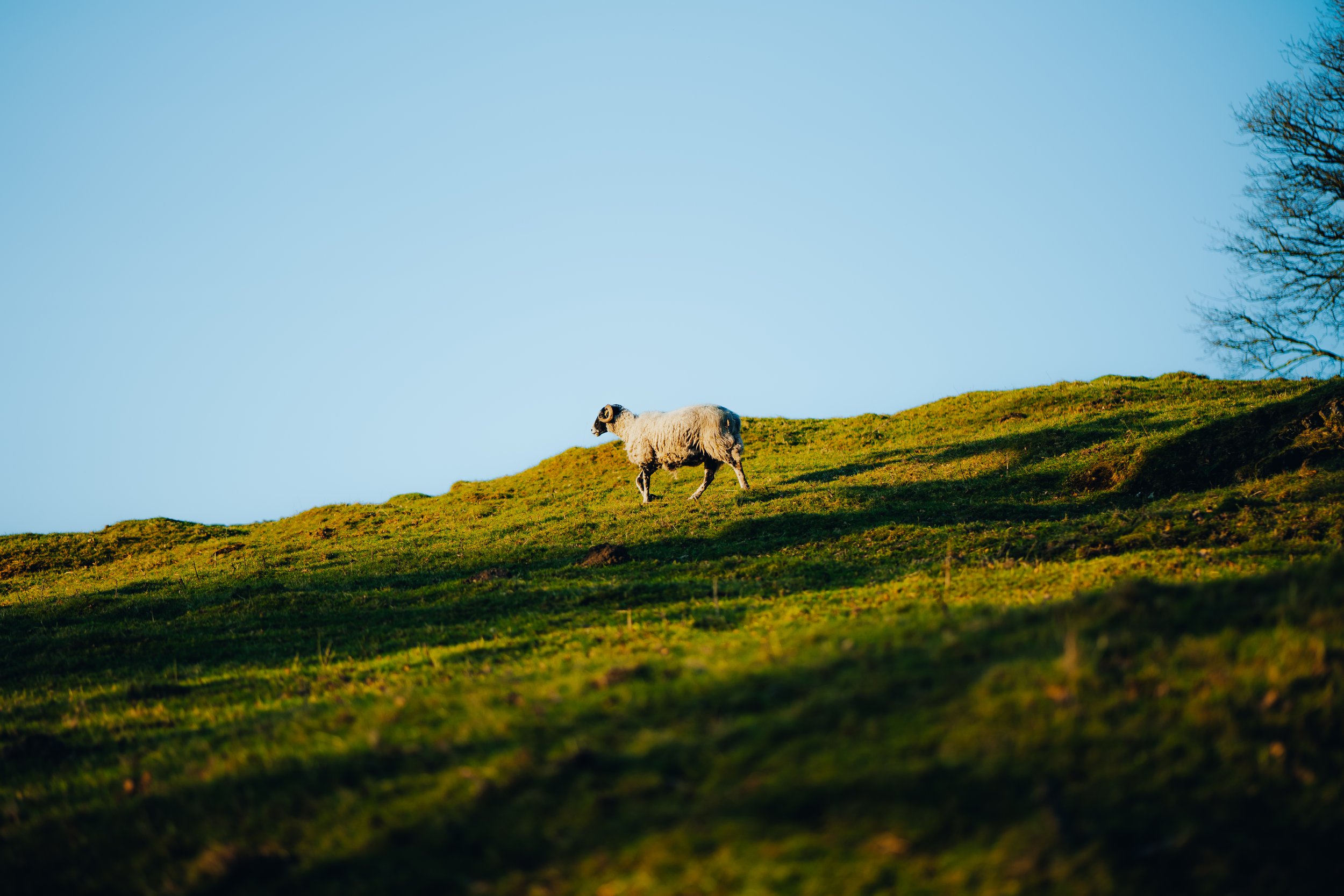 P1053371_Original 2.jpg