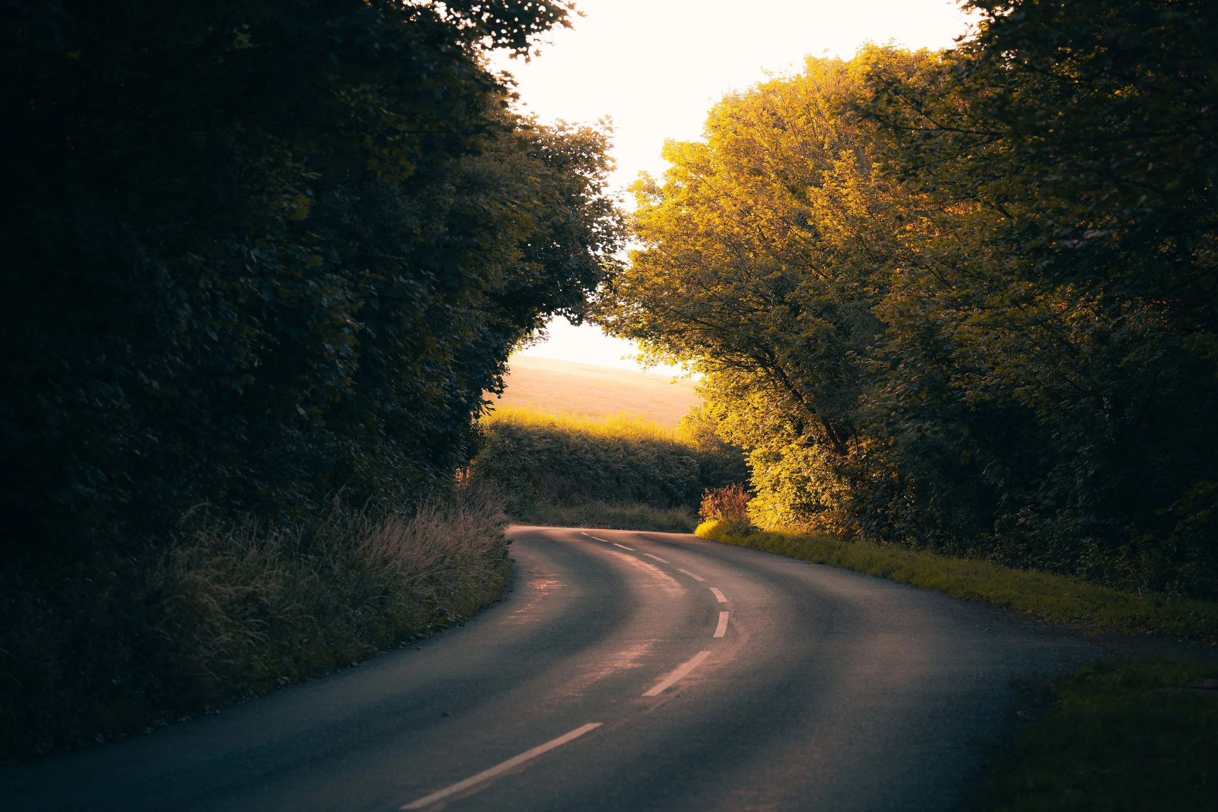 P1090125_Original 2.jpg