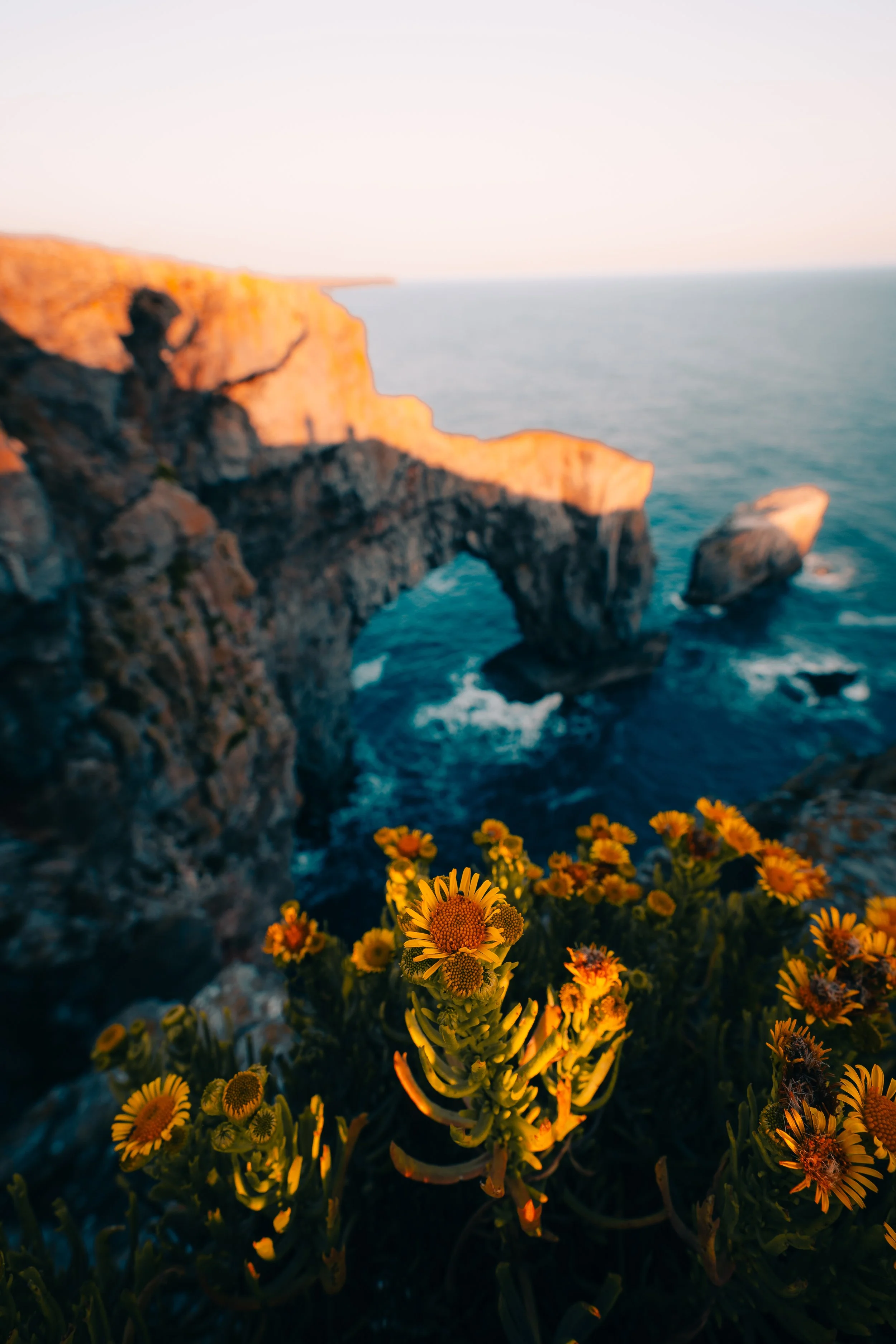 P1091077_Original 2.jpg