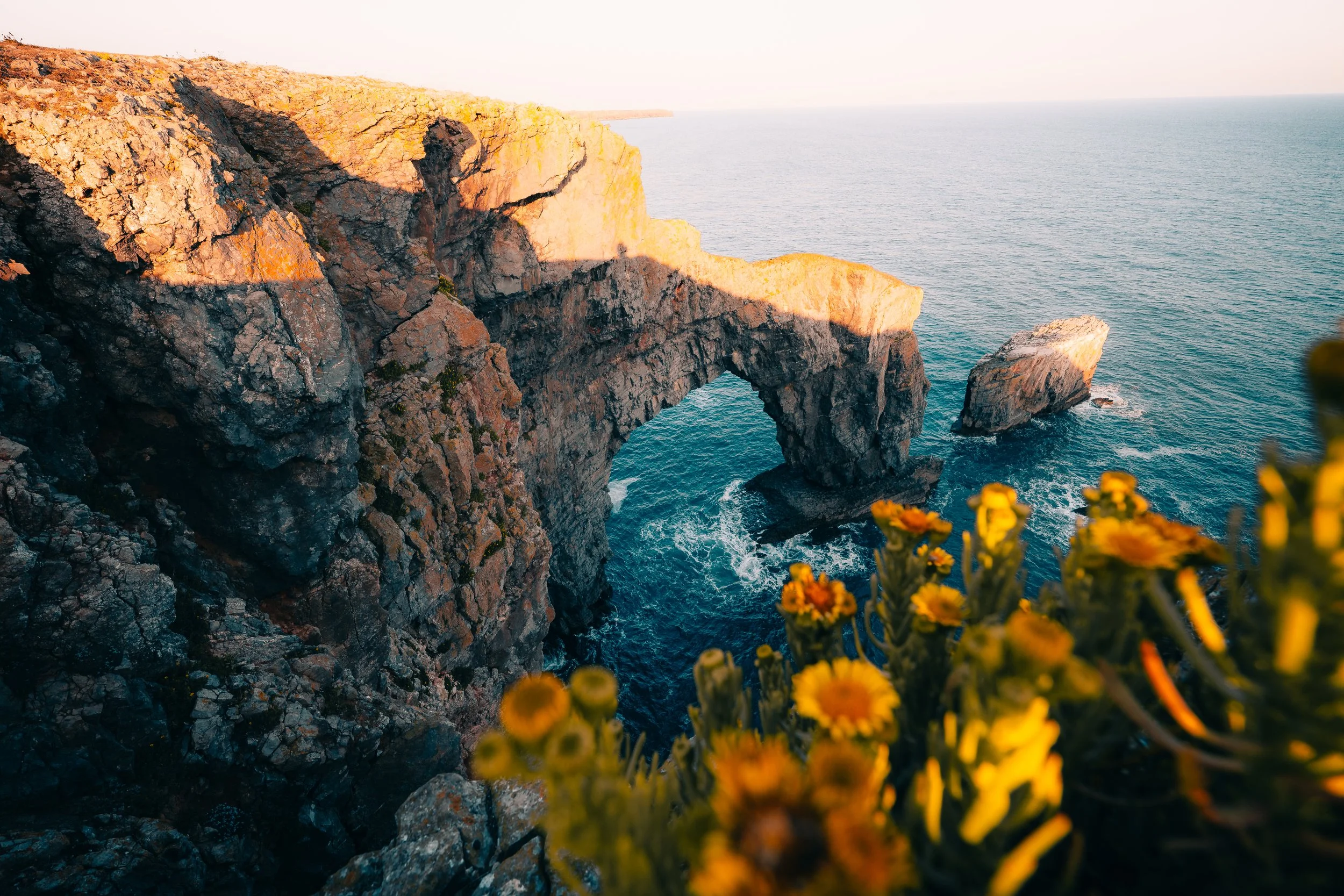 P1091083_Original 2.jpg