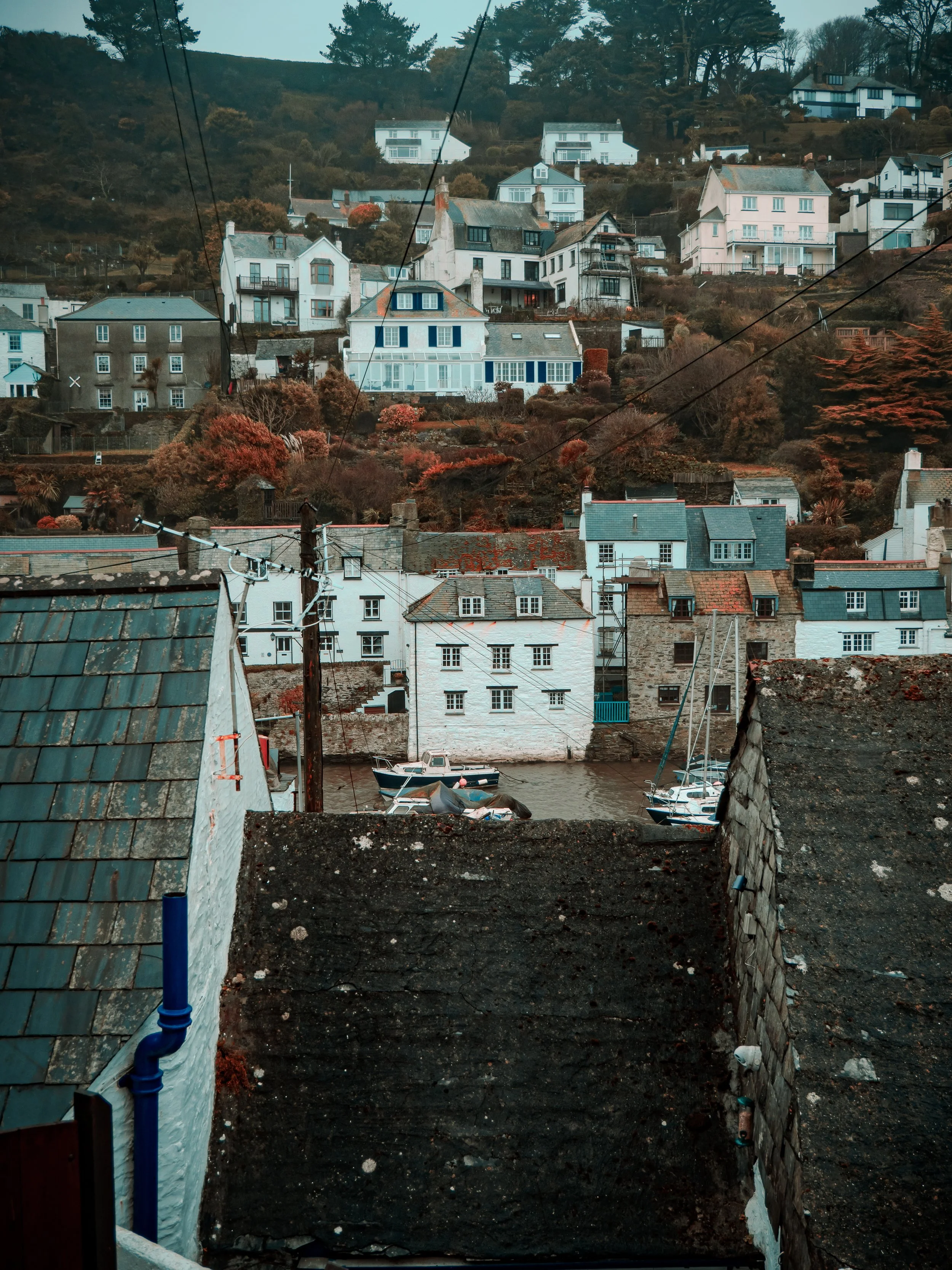 P1000430.jpg