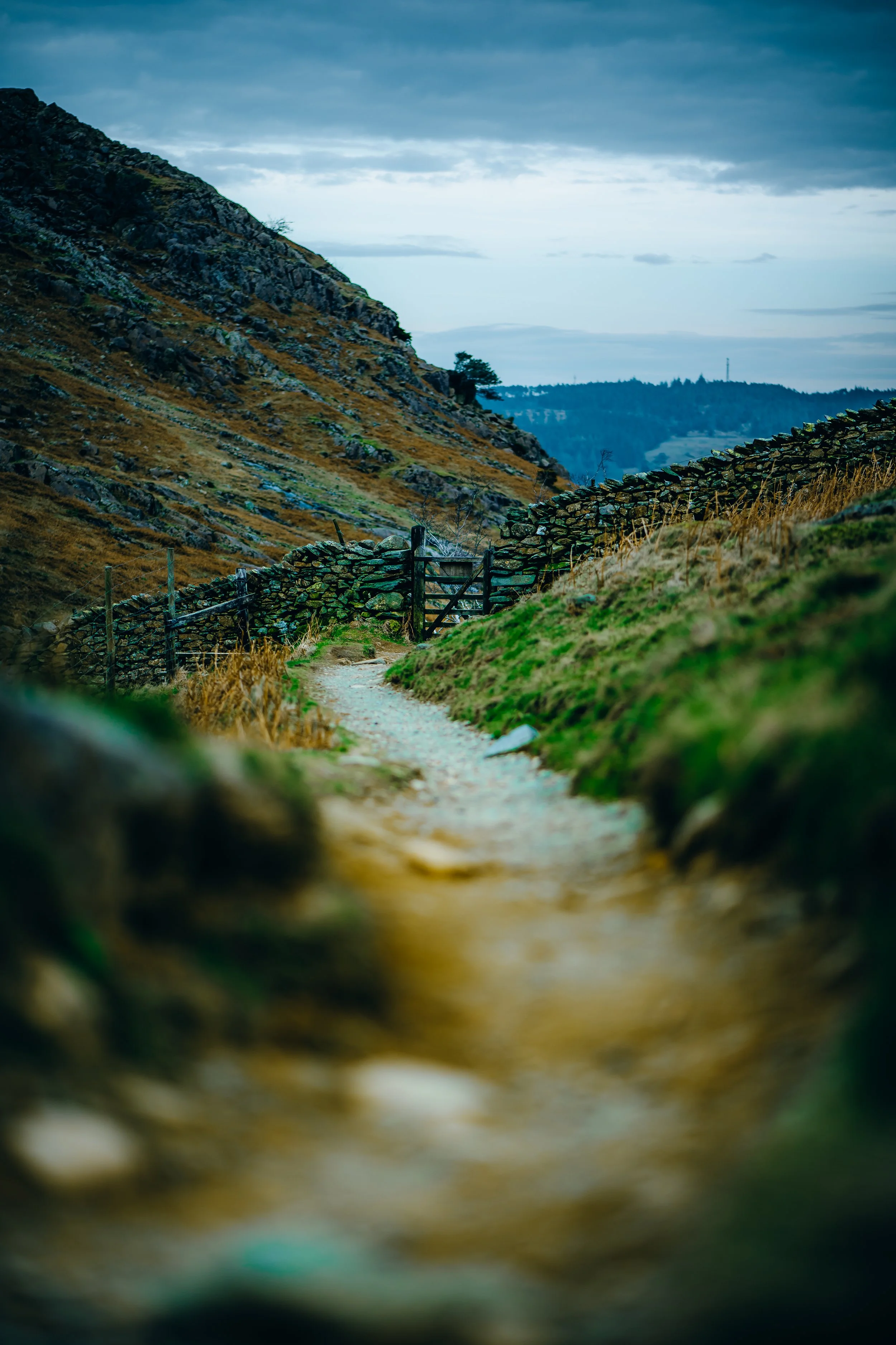 P1054324_Original 2.jpg