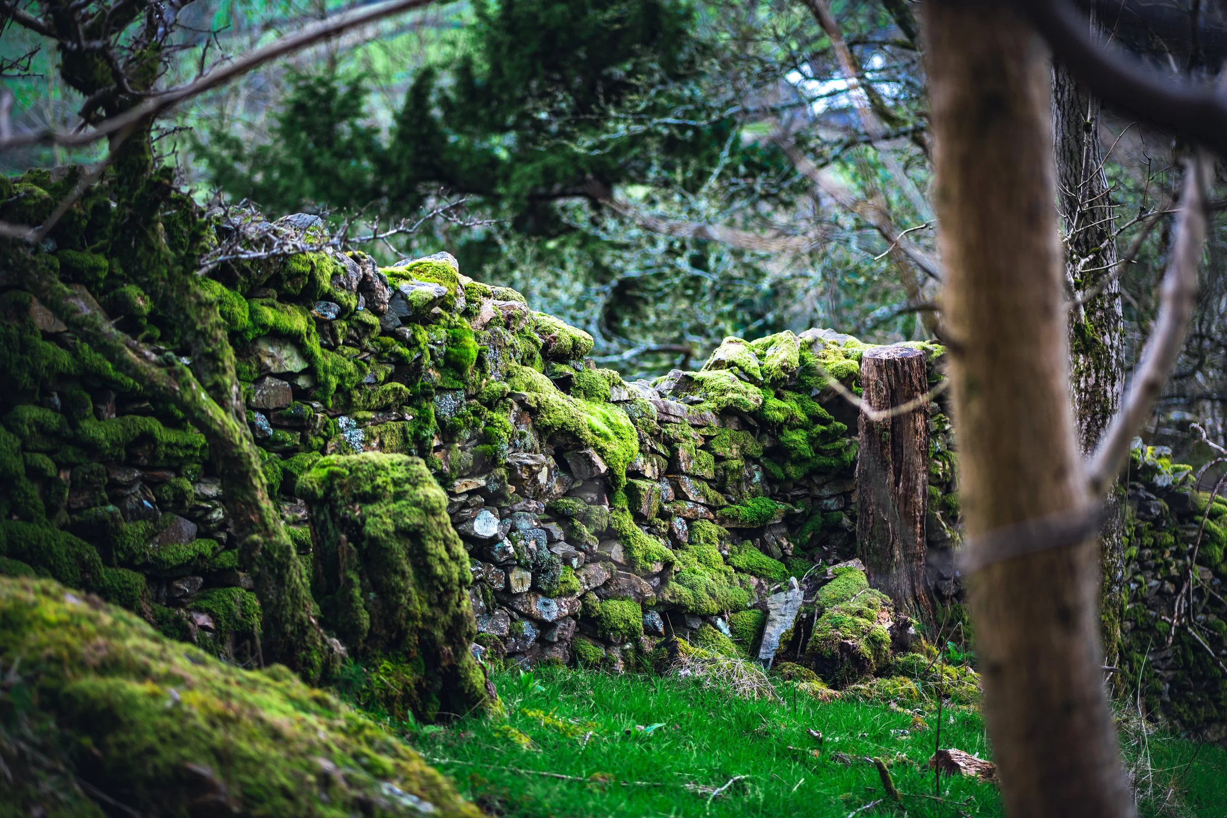 P1053351_Original 2.jpg