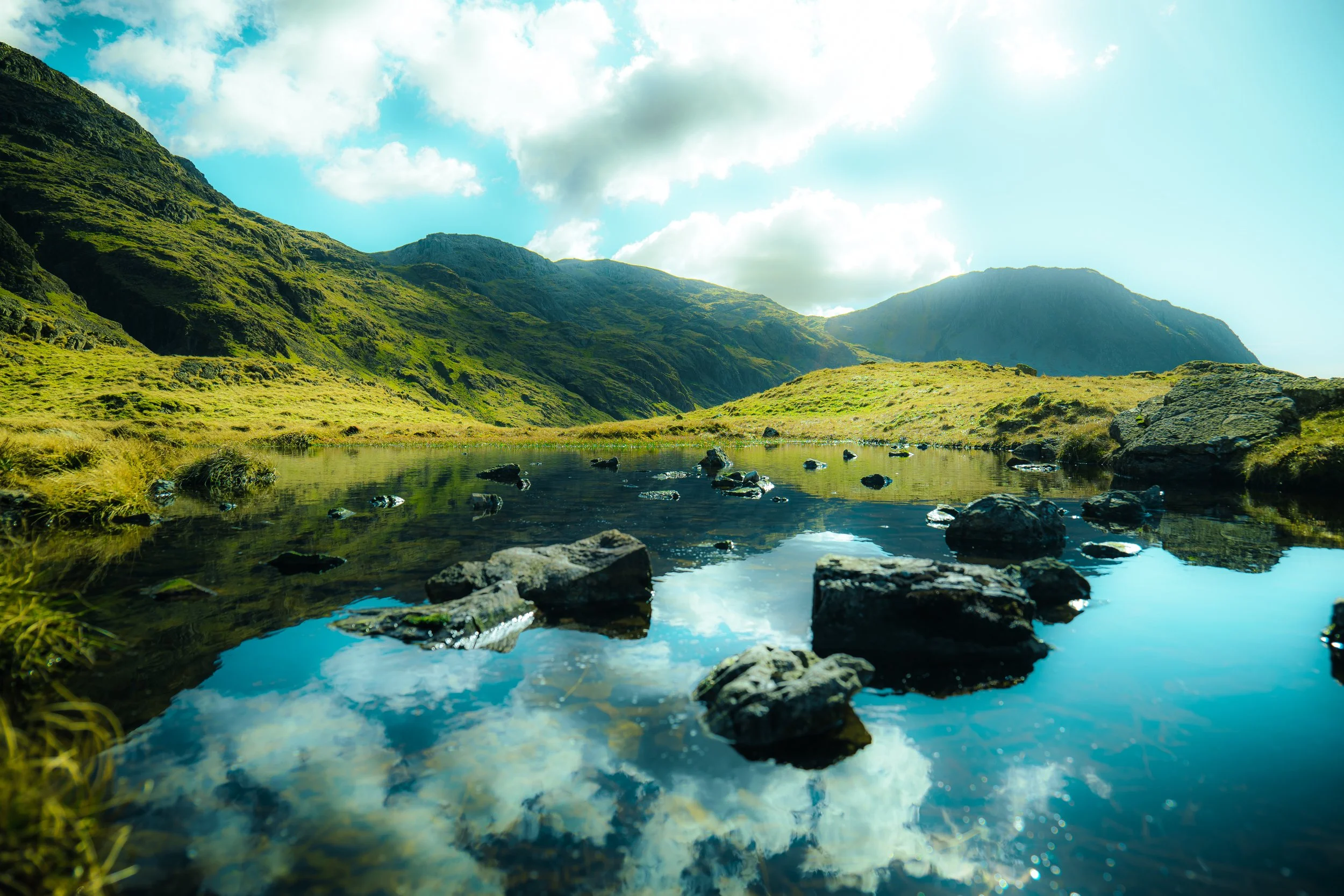 P1054574_Original 2.jpg