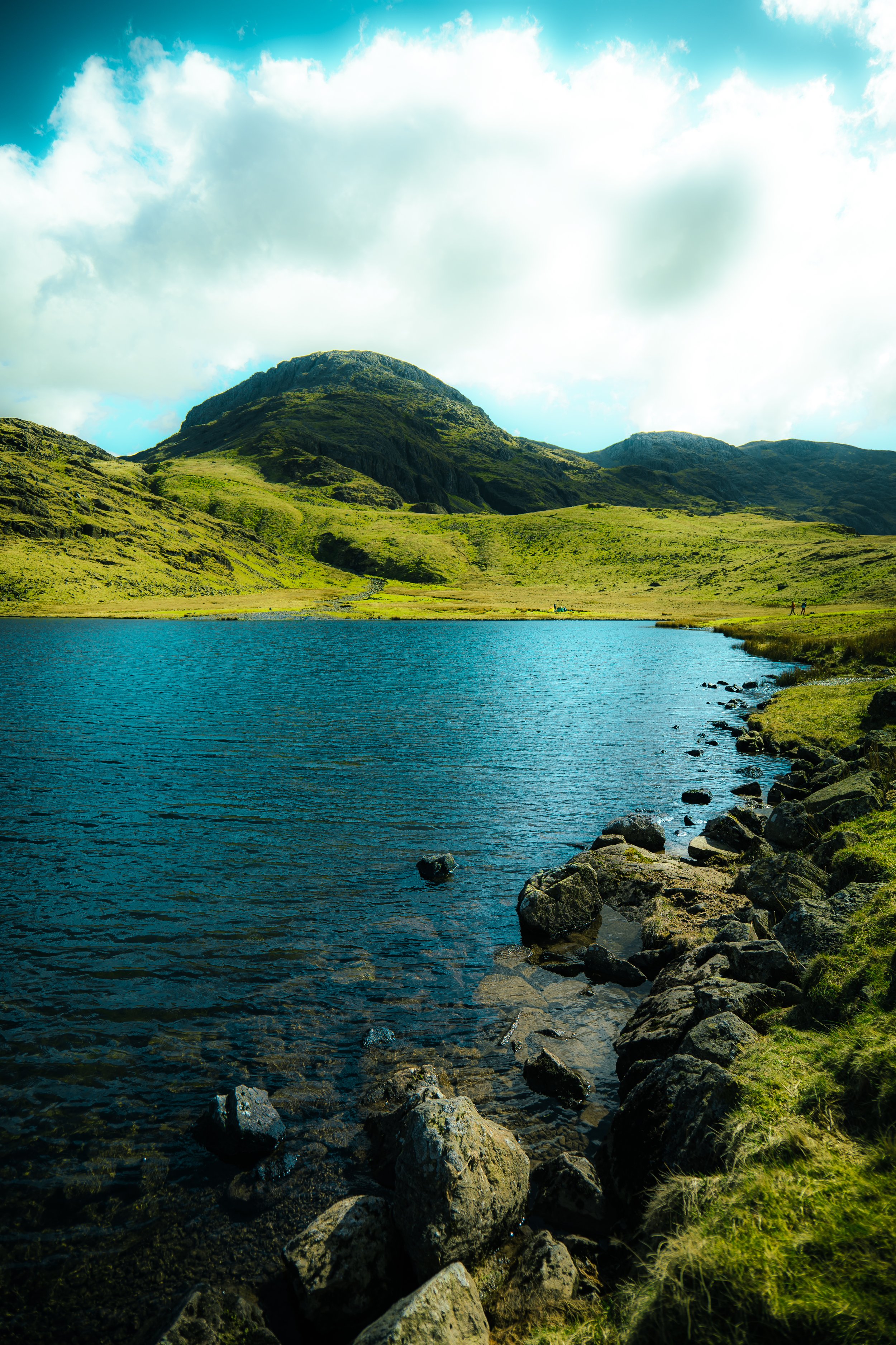 P1054529_Original 2.jpg