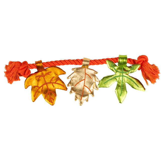 fall leaves gif.gif