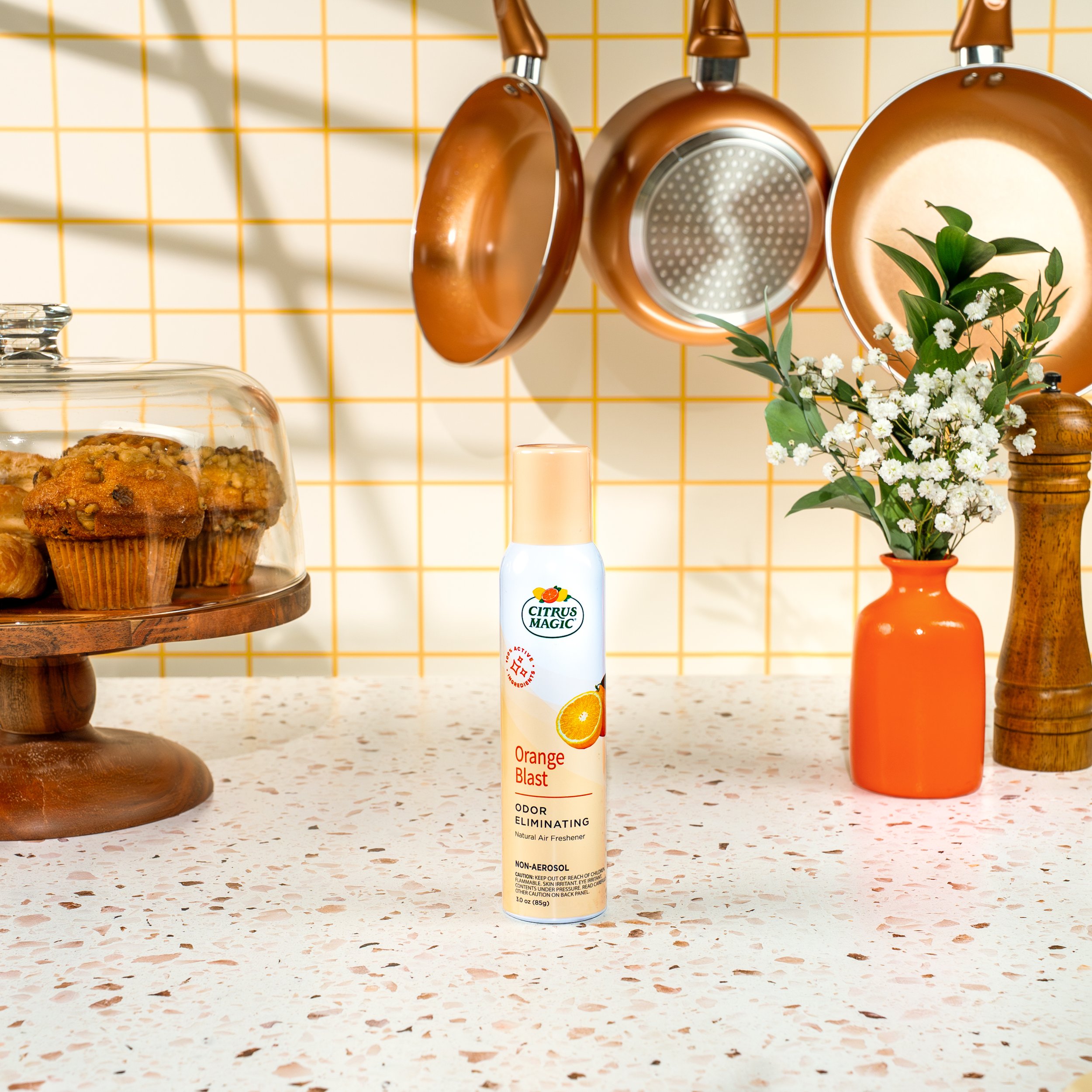 CitrusMagic_CitrusBlast_Spray_LivedIn_Image (1).jpg