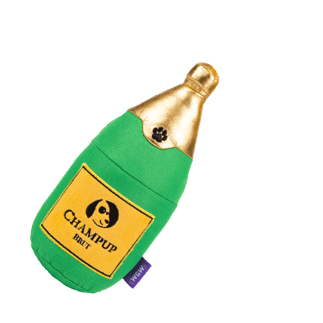 champagne-gif.gif