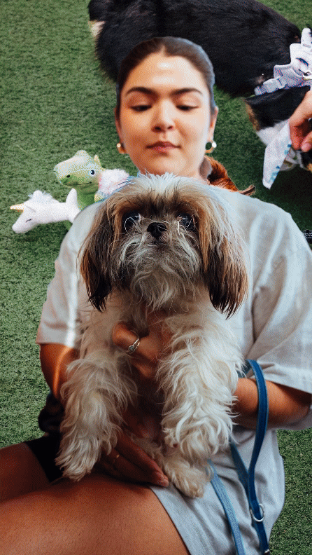 hops&hounds (Updated Length).gif