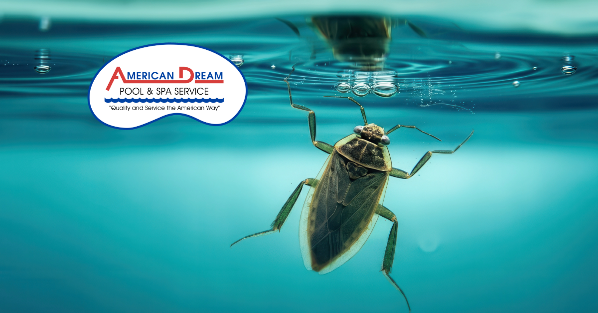 Why Bugs Keep Drowning in Your Pool