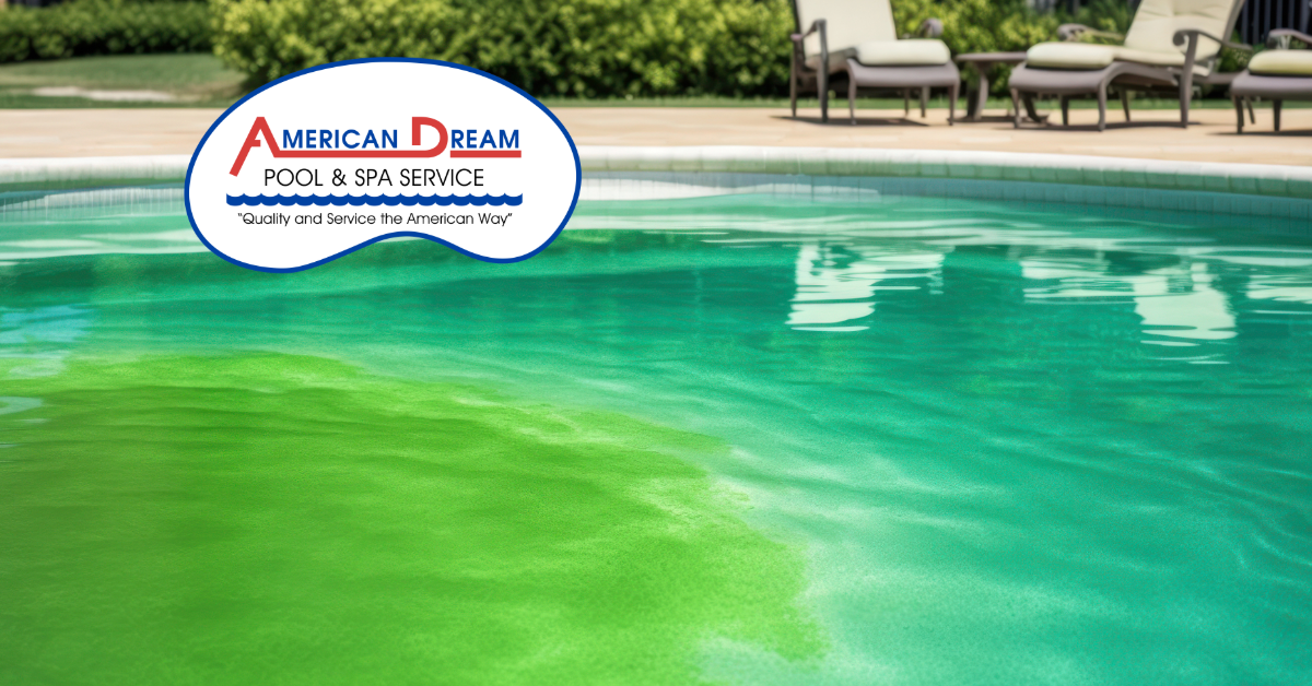Why Algae Can Still Grow in Your Pool in January (Even When It’s Cold)