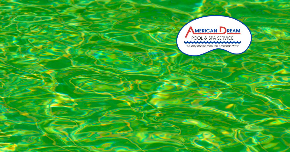 Why Placer County Pools Turn Green