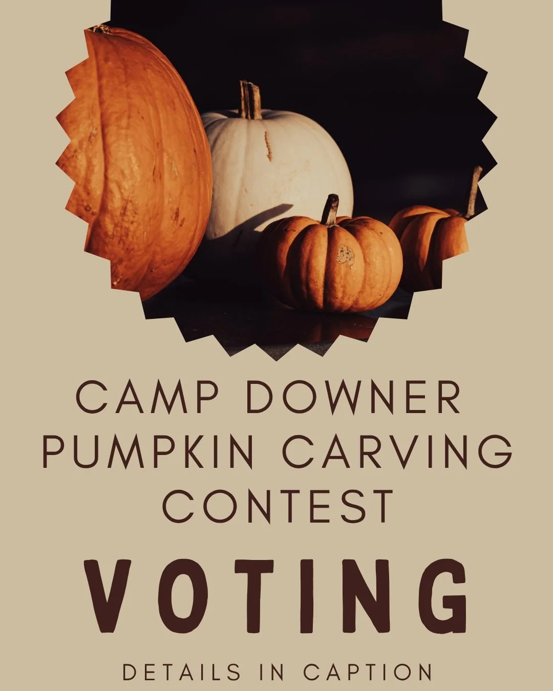 Camp Downer Pumpkin Carving Contest Voting! 🎃
It&rsquo;s time to vote for your favorite Camp Downer&ndash;themed pumpkin!

Take a look through the amazing submissions and comment below with the number of your favorite pumpkin (1&ndash;7). Every vote