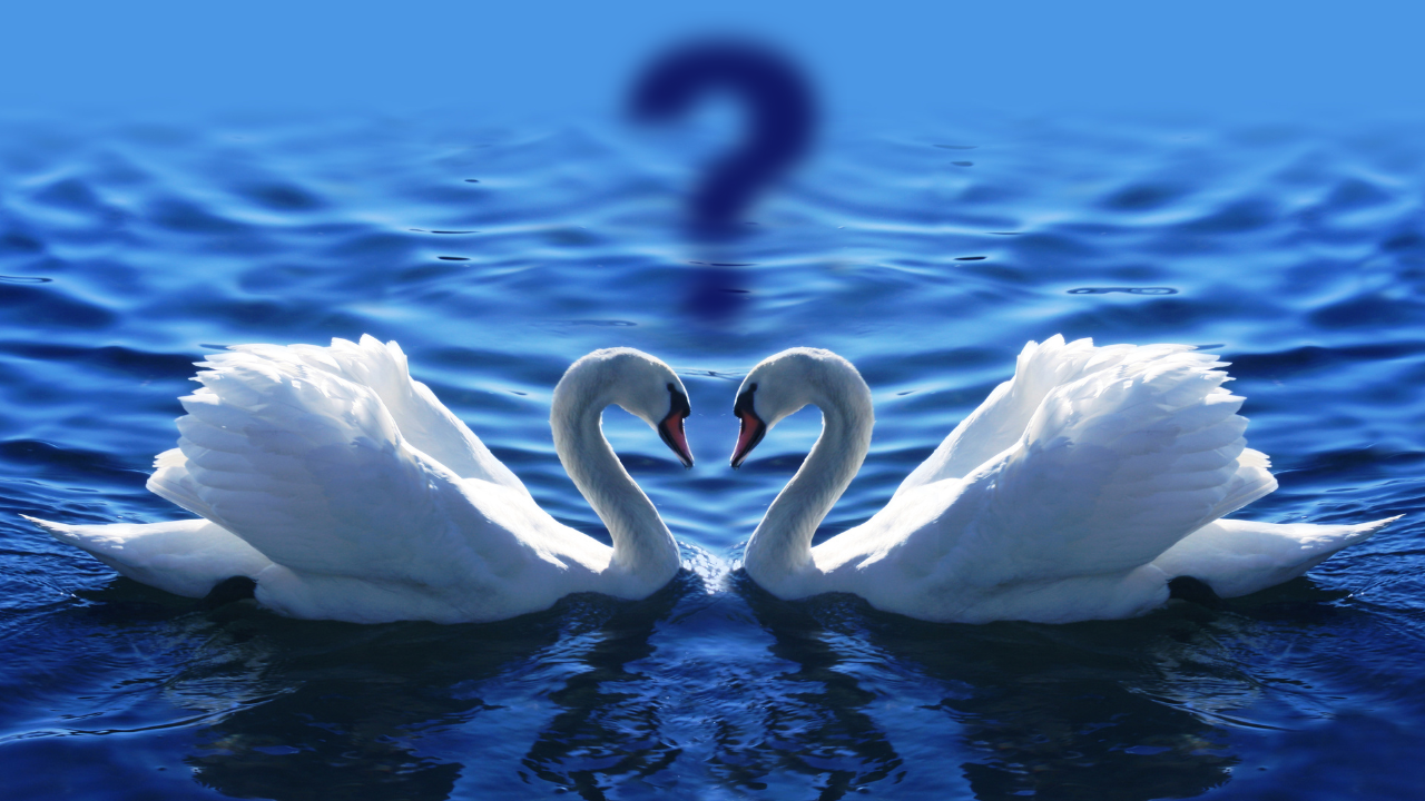Is it Love or is it Limerence? How Limerence Fuels Psychic Addiction