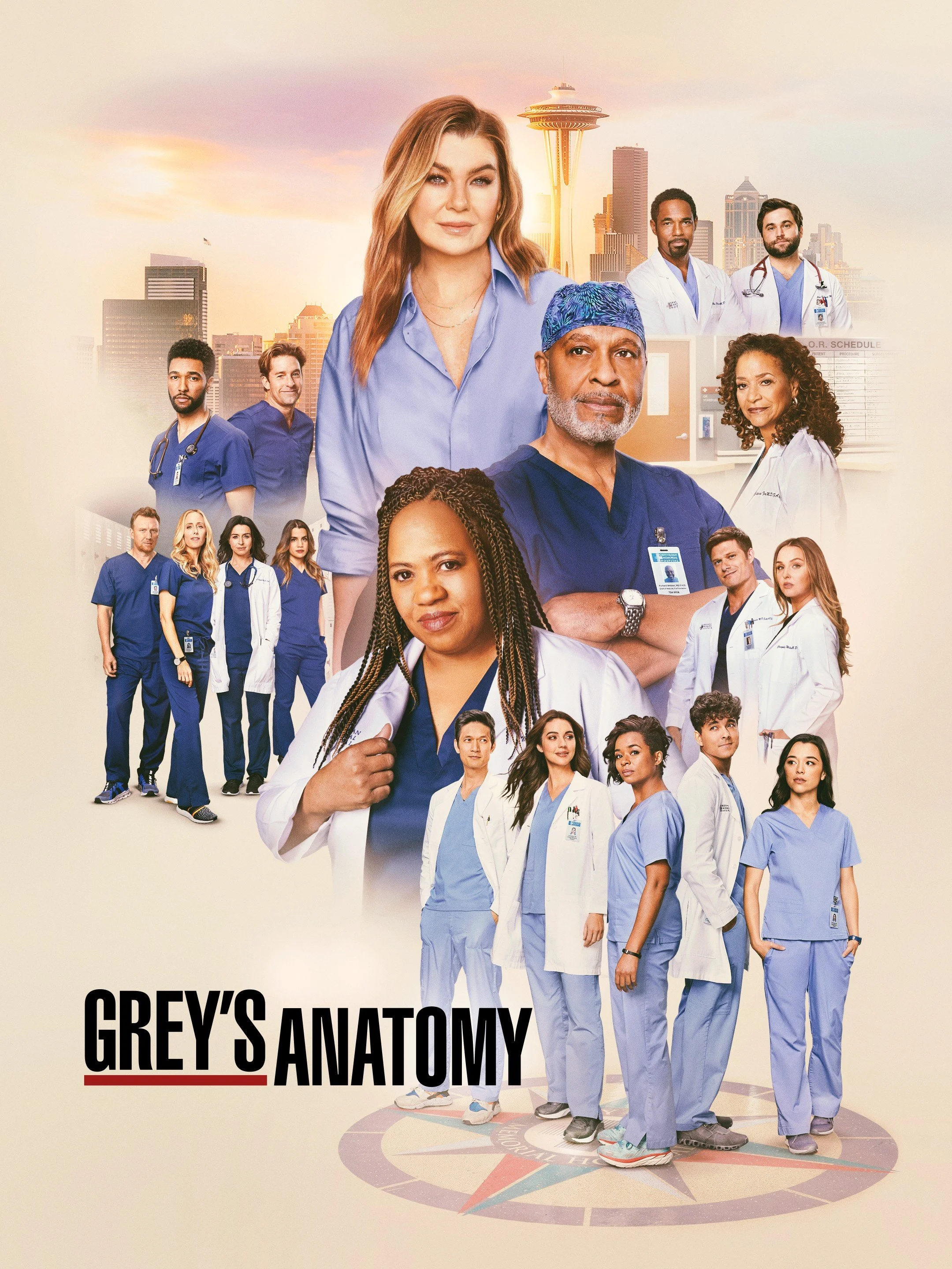 Grey's Anatomy TV
