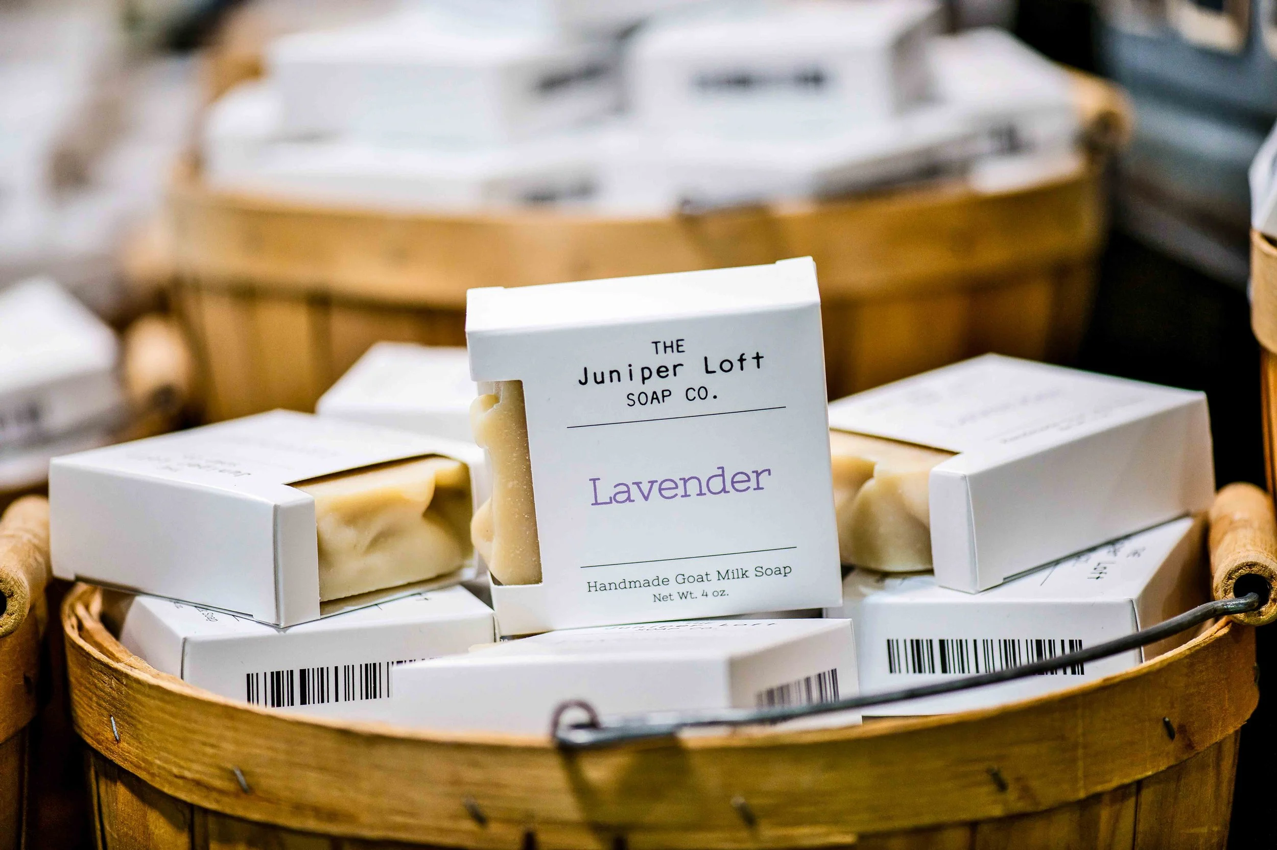 Copy of DSC_7245.jpg