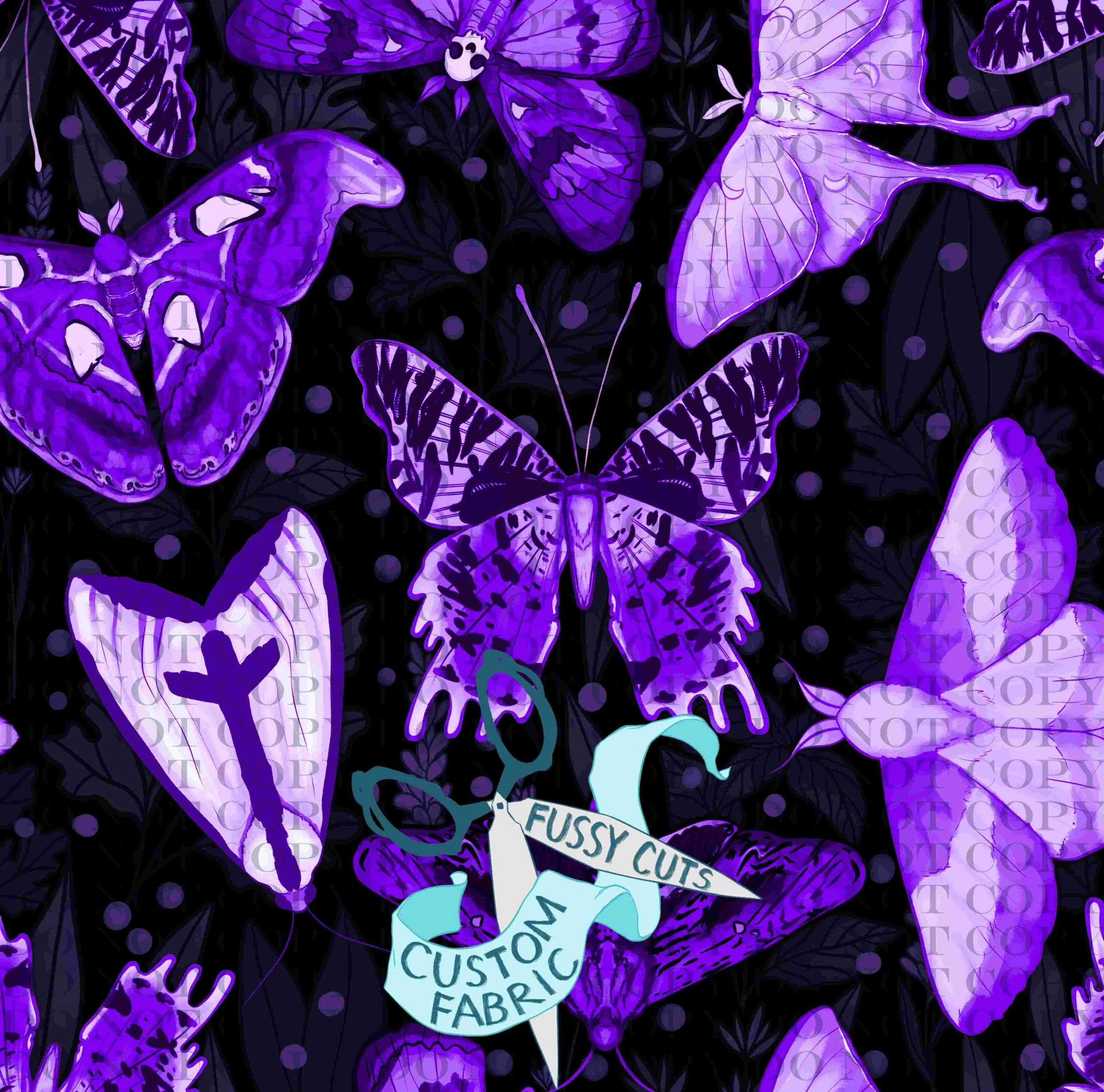 Moth identification-2.jpg
