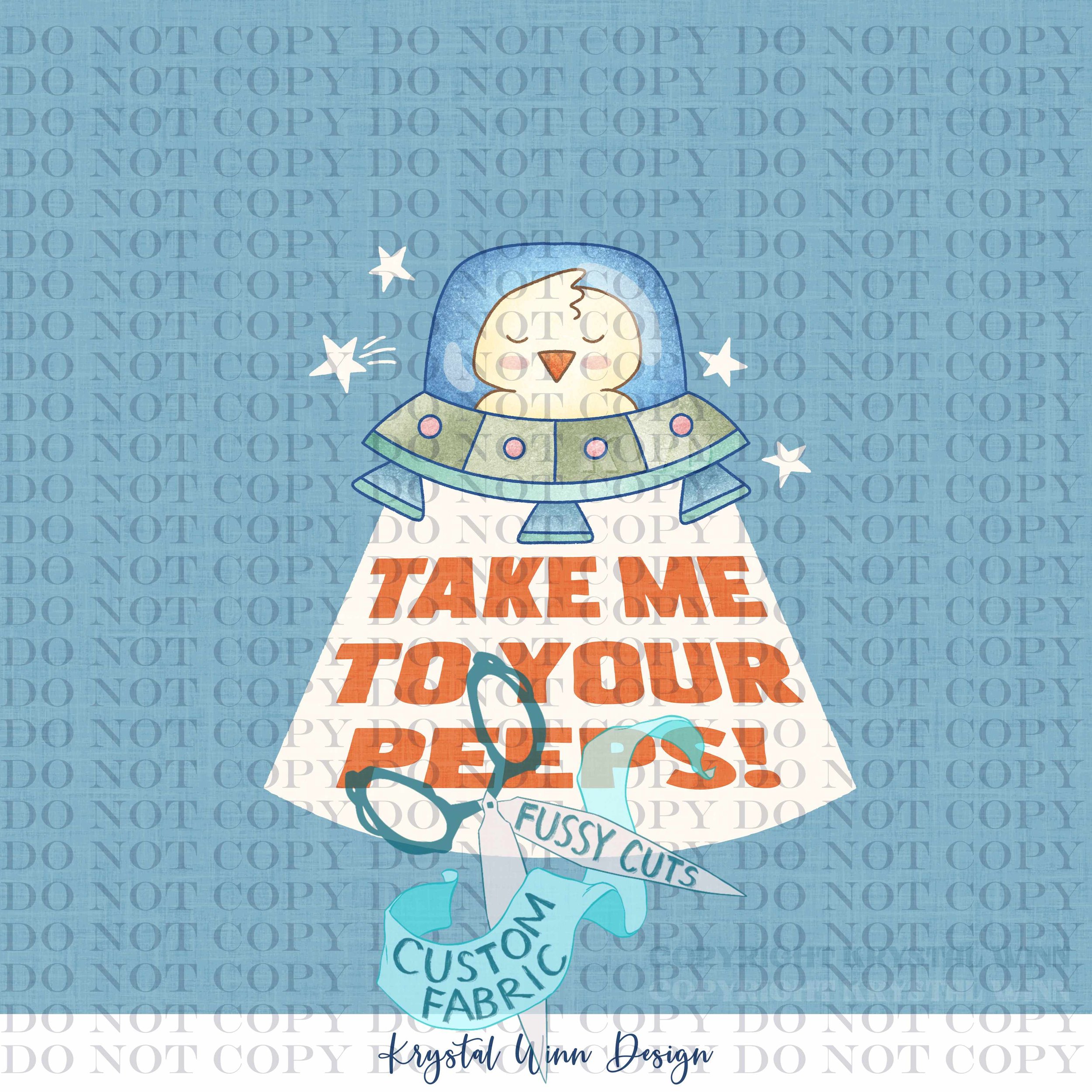 Space Bunny Panel- Peep Boy.jpg