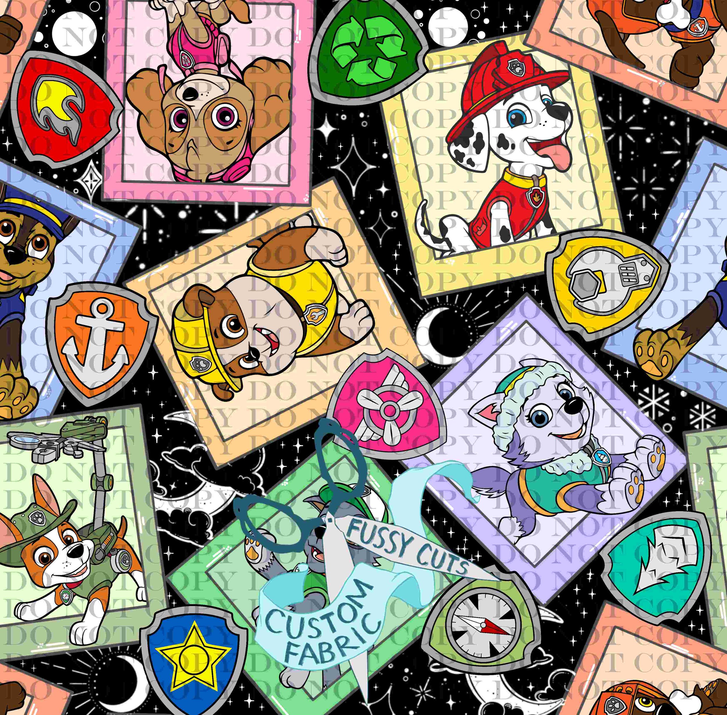 Paw Patrol Space.jpg