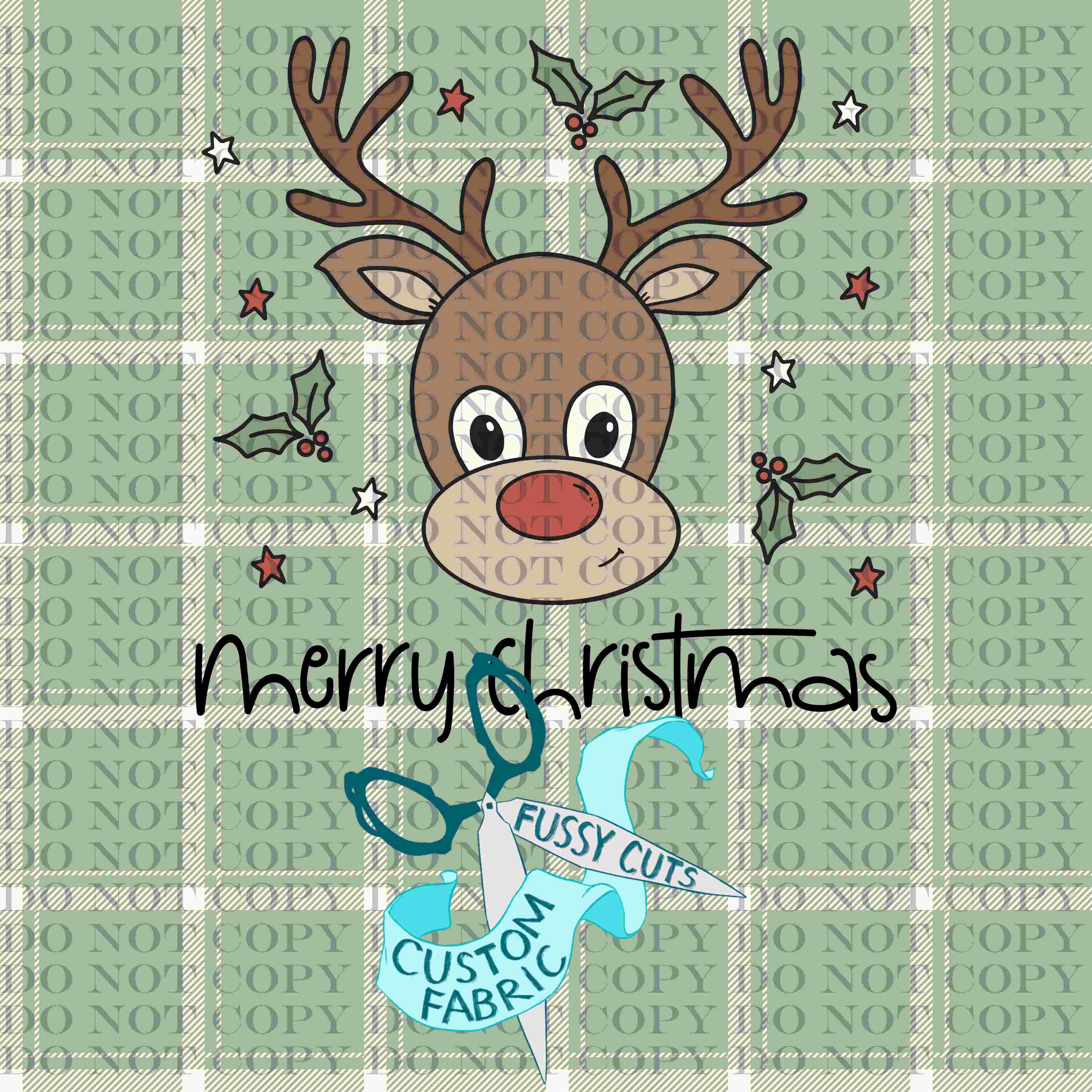 boy reindeer.jpg