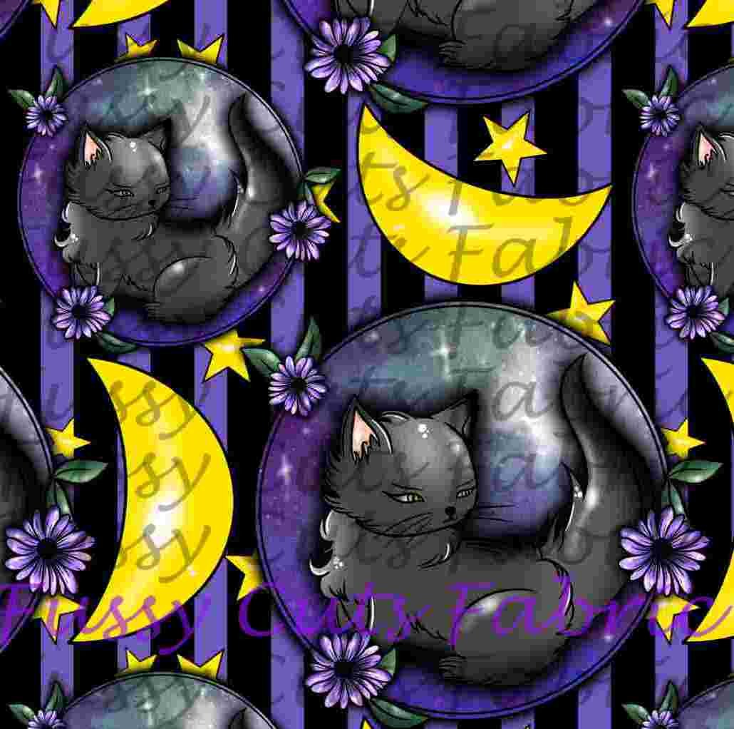 cat and moon.jpg
