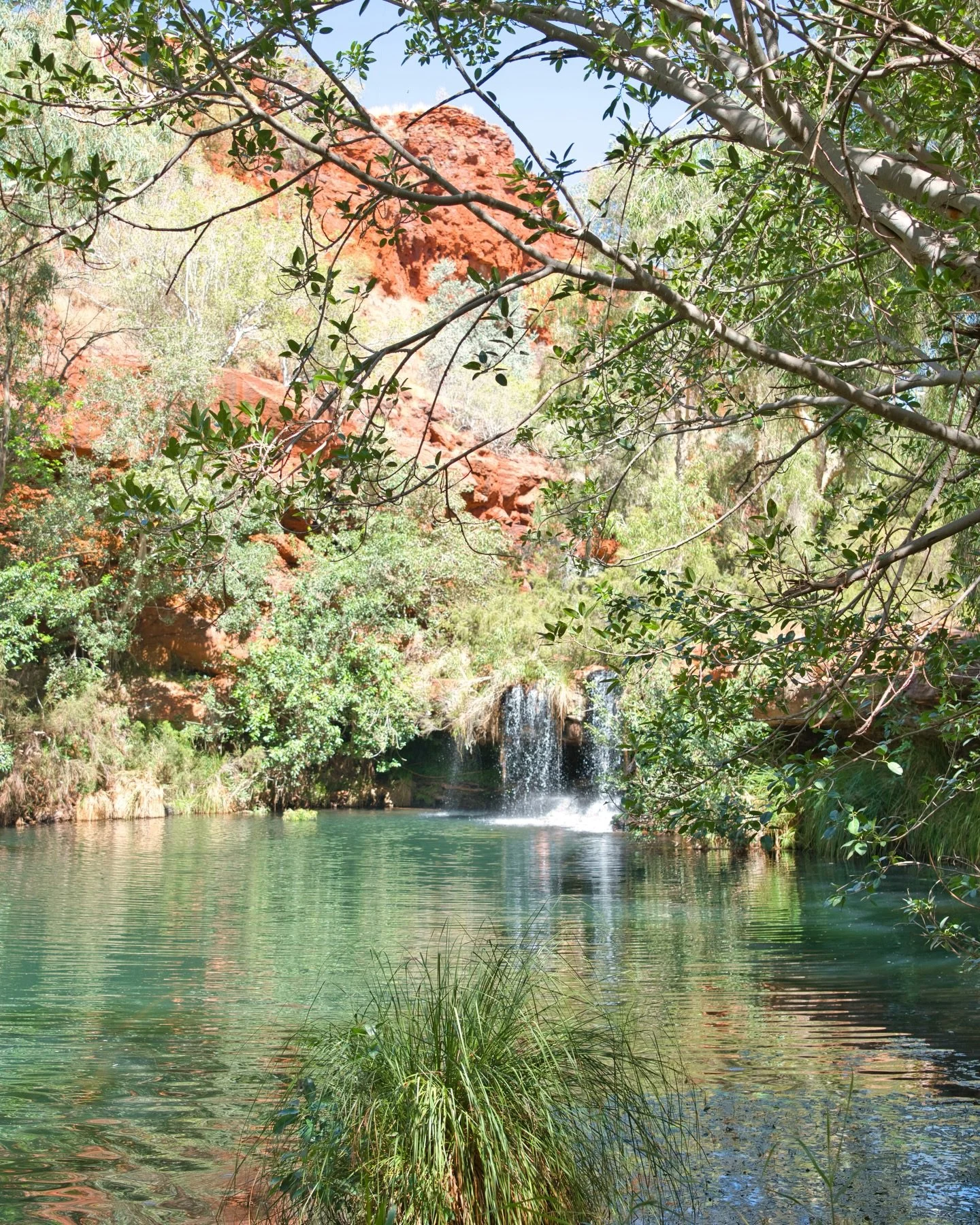 It&rsquo;s definitely worth spending a few days at Dales in Karijini 👌🏼

There are two swimming holes here, Fern Pool and Fortescue Falls, and the campground is within walking distance of both.

Plus the loop trail here is a great walk to take you 