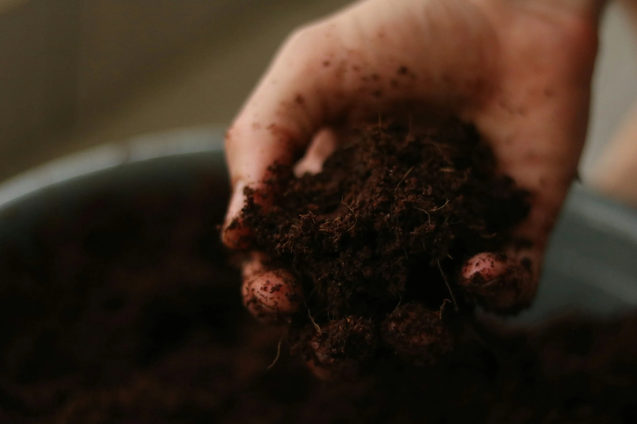 Close-up of a hand planting or working with dark soil in a pot.