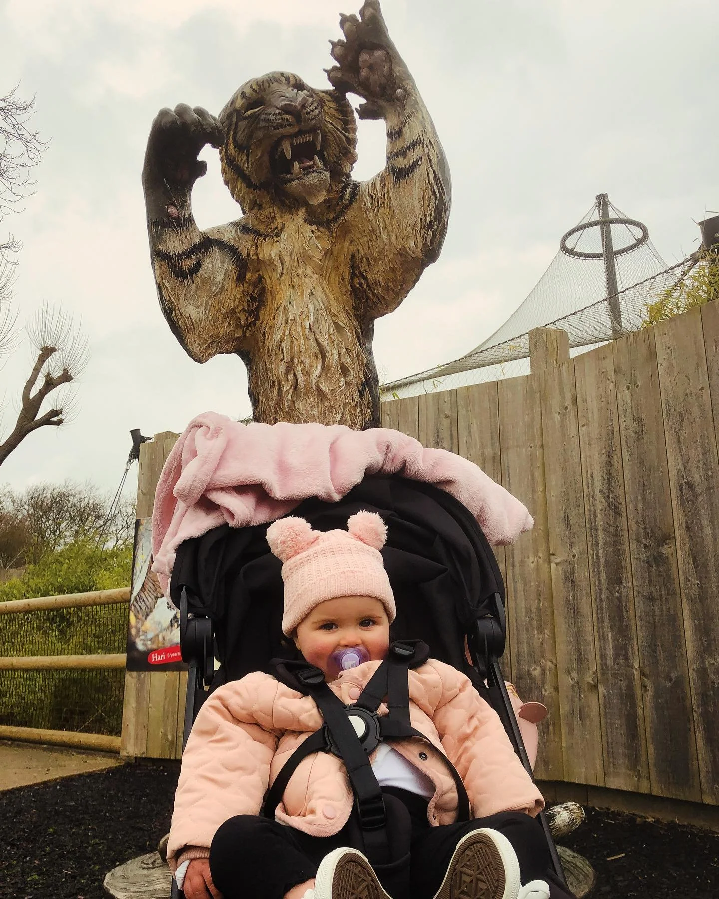 Rare day off the tools 🌳🔨&hellip; At the zoo with mini me @darcy__cecilia 🐅🦁🦓