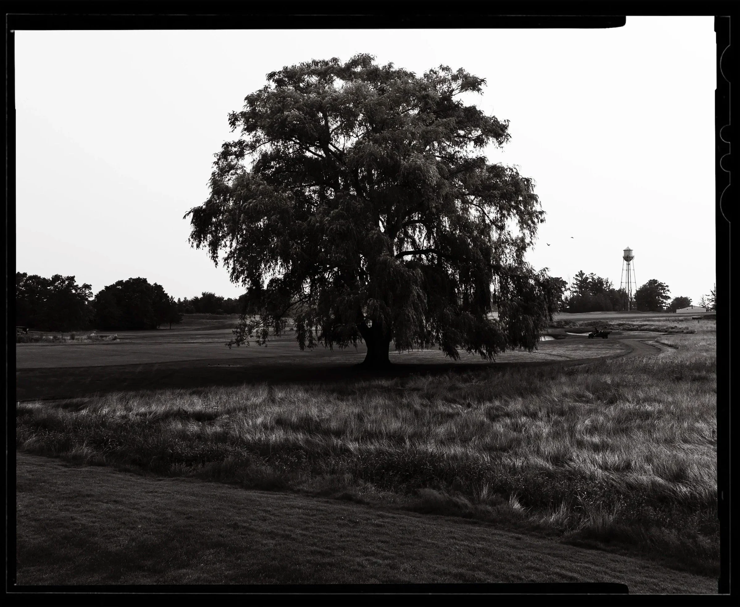 Black+and+White+4x5+photo+%2812%29.jpg