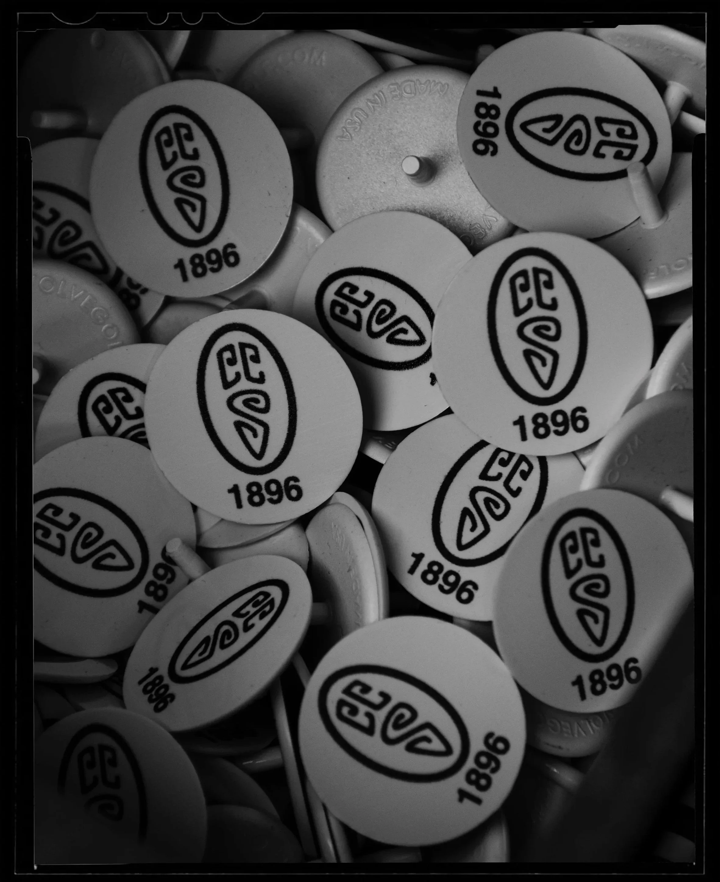 Black%2Band%2BWhite%2B4x5%2Bphoto%2B%25288%2529.jpg