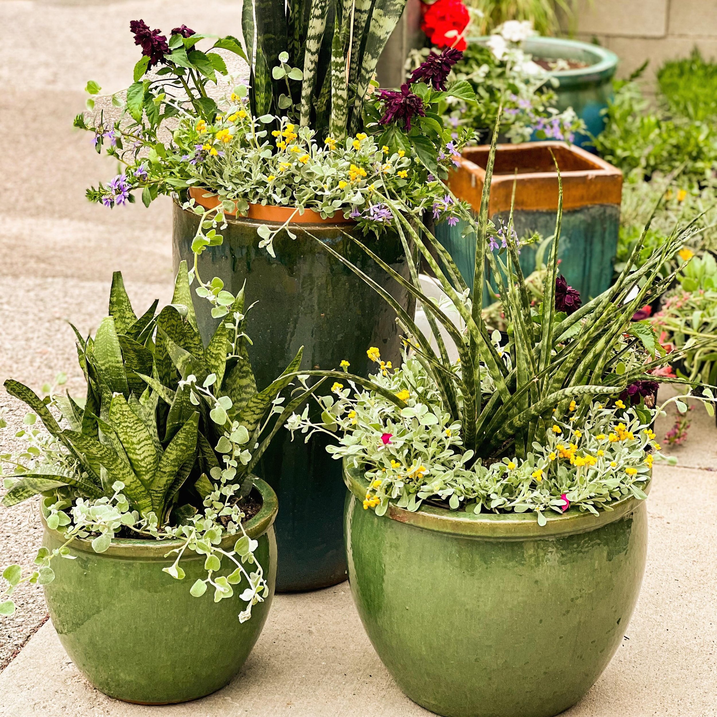 Ditch the ordinary and make a visit to Home Grown, your official Mother&rsquo;s Day Headquarters! 

Celebrate with our Bloody Mary bar and mimosas while you shop. 

Spend $50 and enter to win a stunning custom patio pot valued at $200&mdash;perfect f