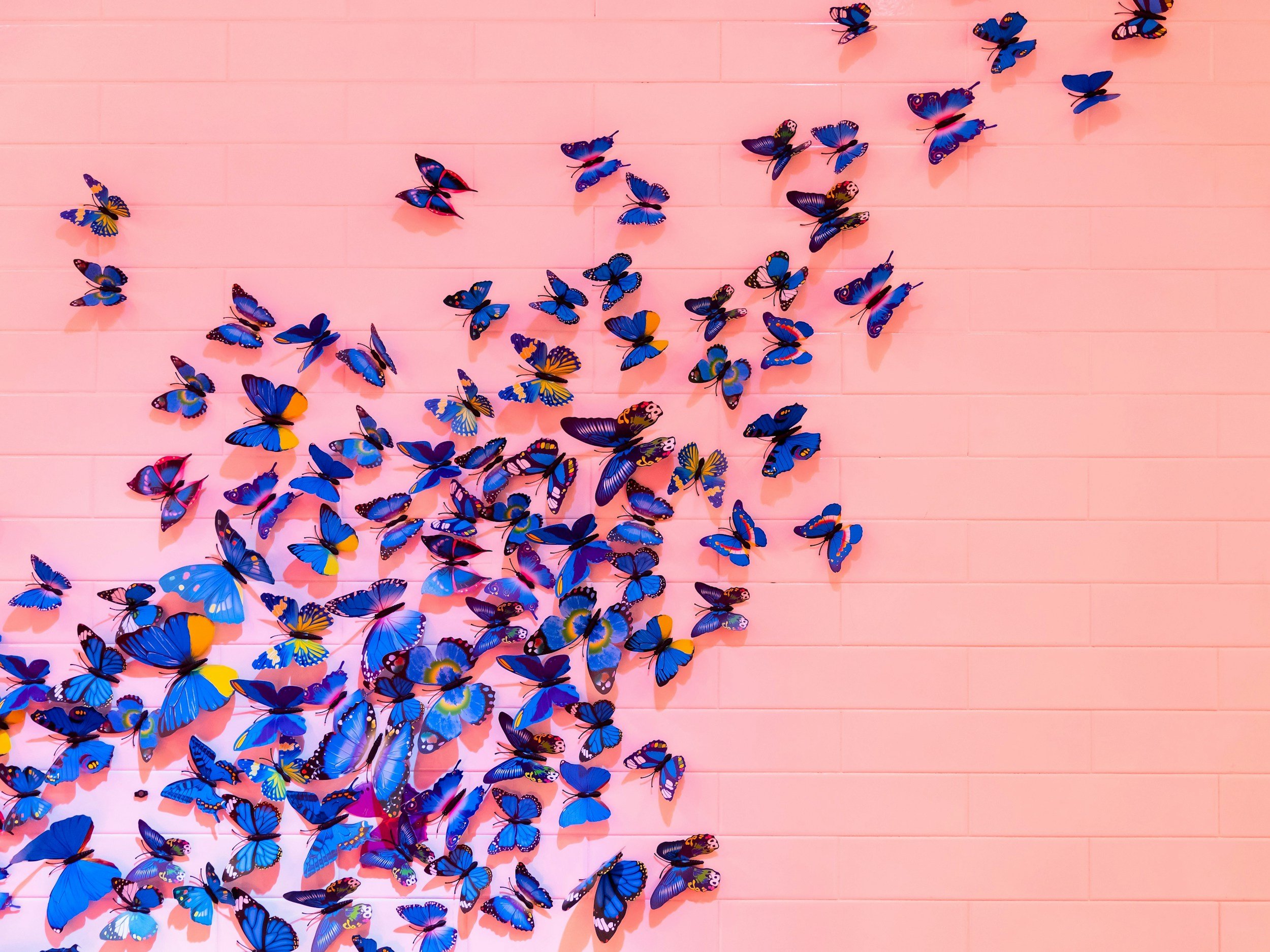 Parenting Tip: Butterfly Tapping