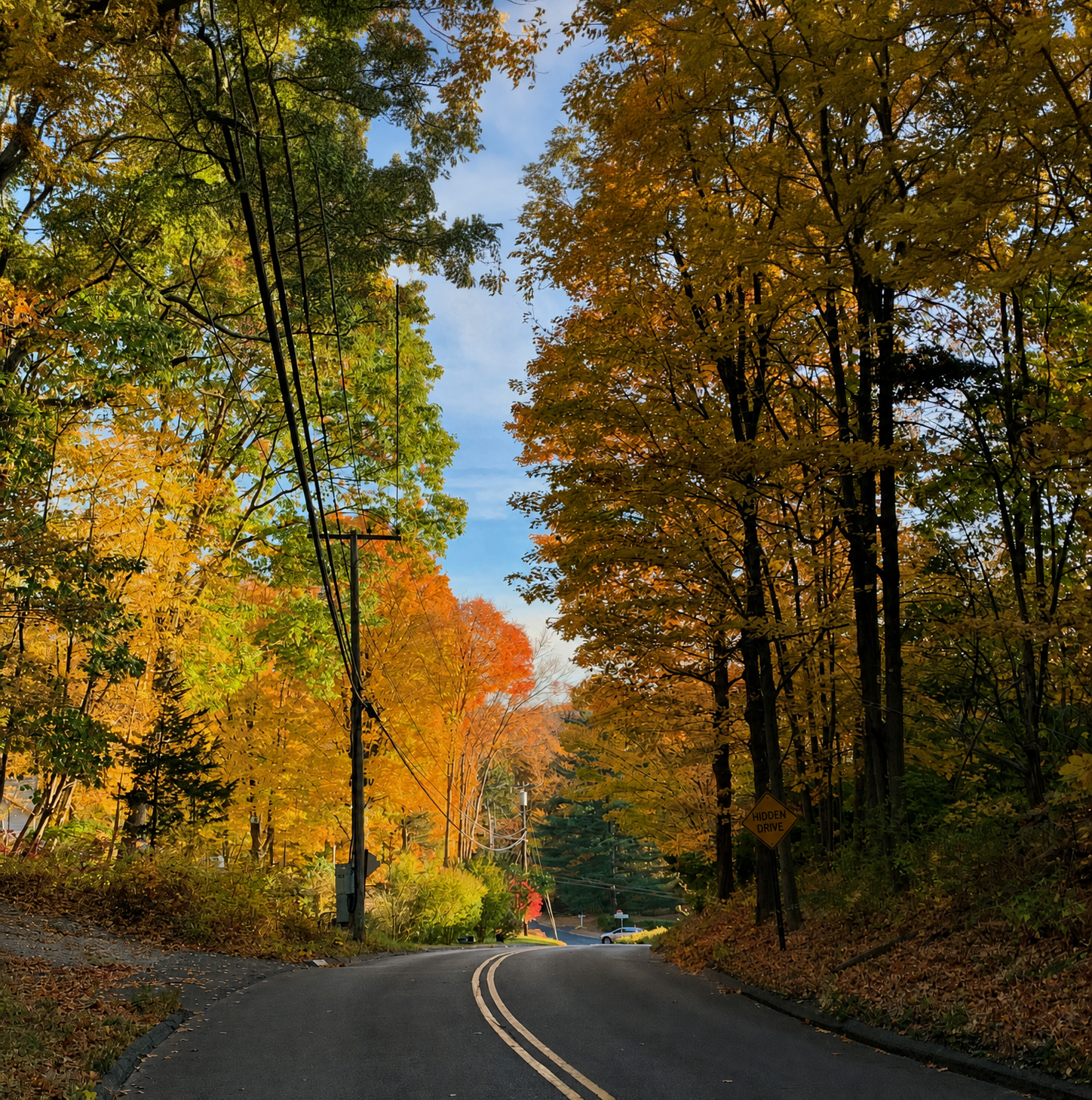 Two-lane road curving downhill through dense autumn trees, with utility lines and a Hidden Drive sign beside the roadway.