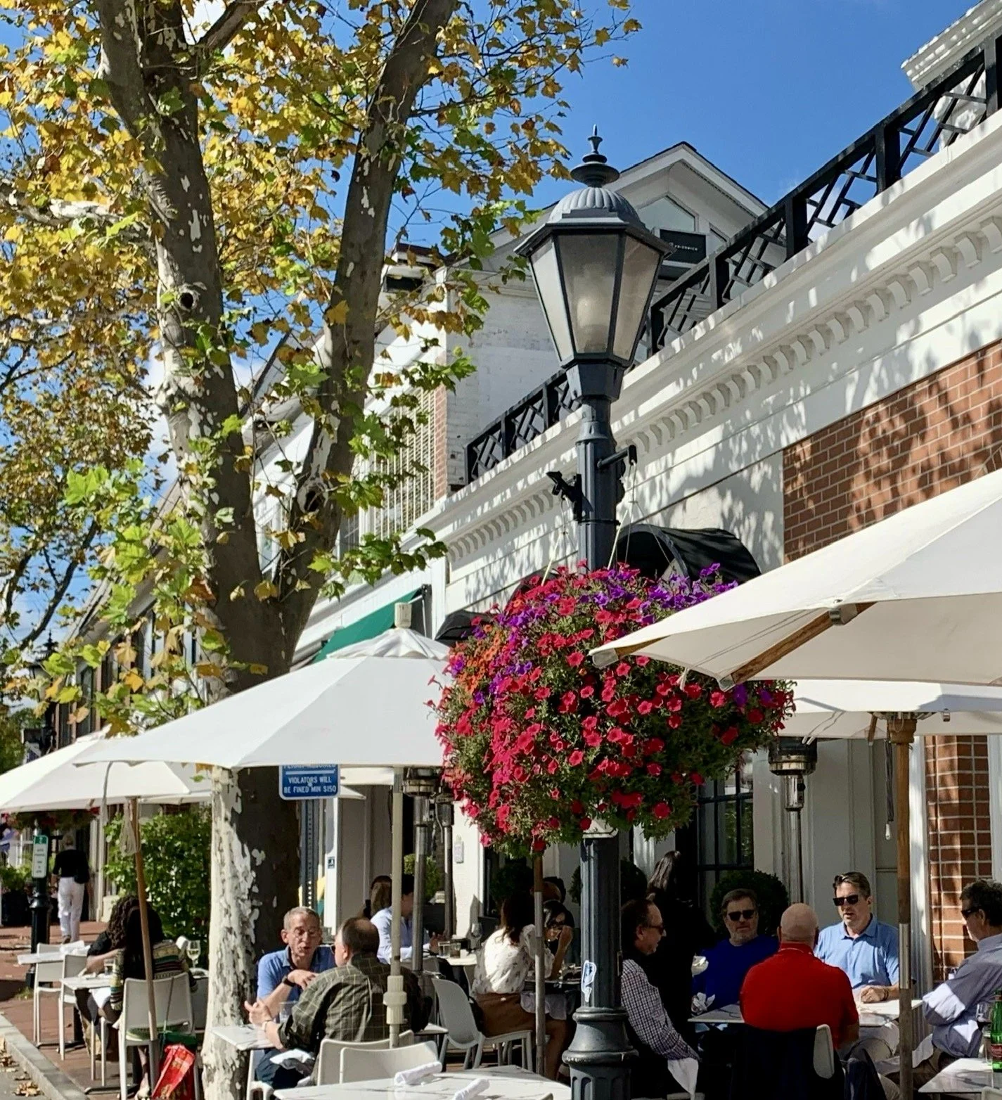 Enjoying August - Cafe Culture