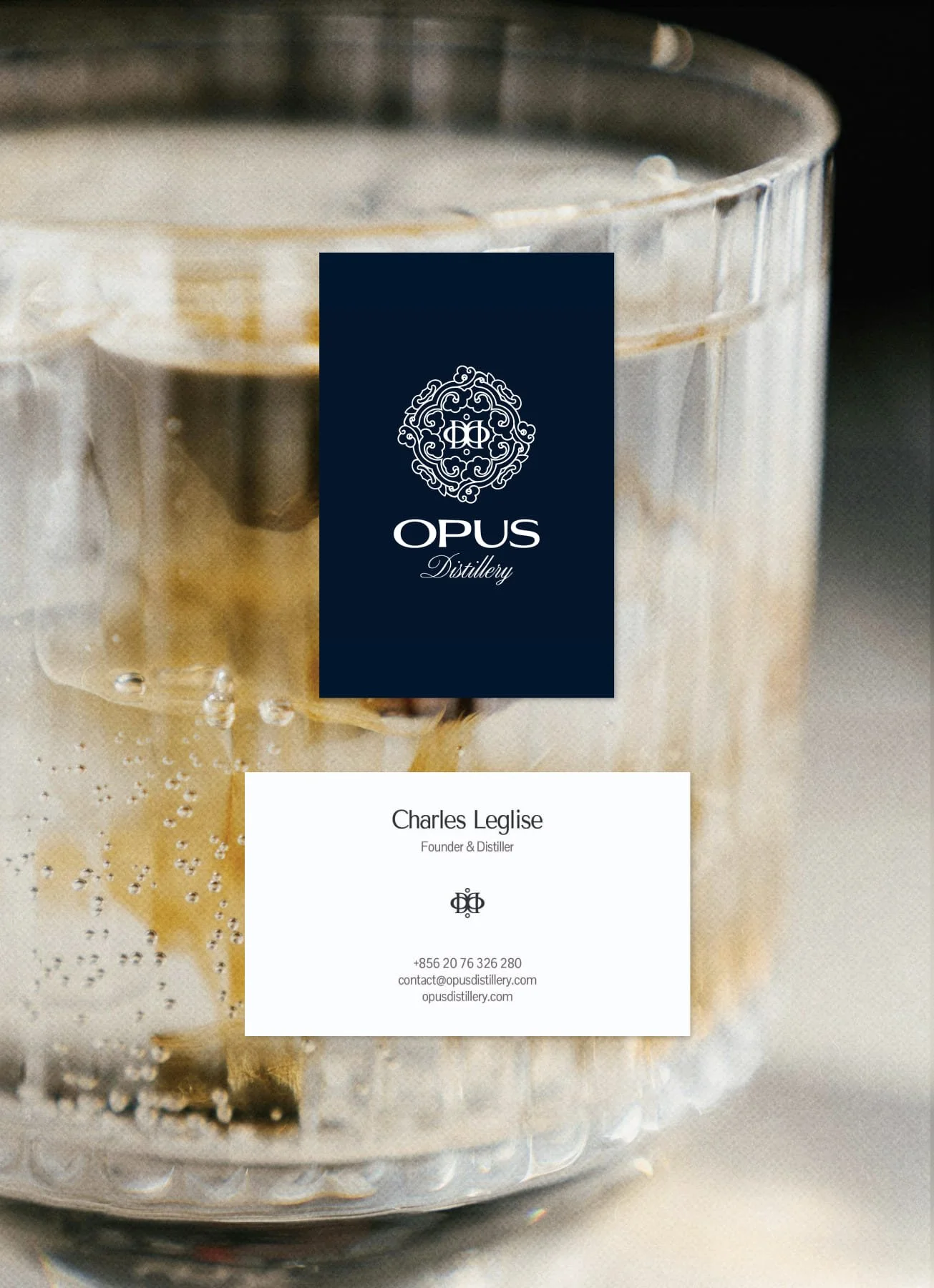 opus_identite-graphique_cv.jpg