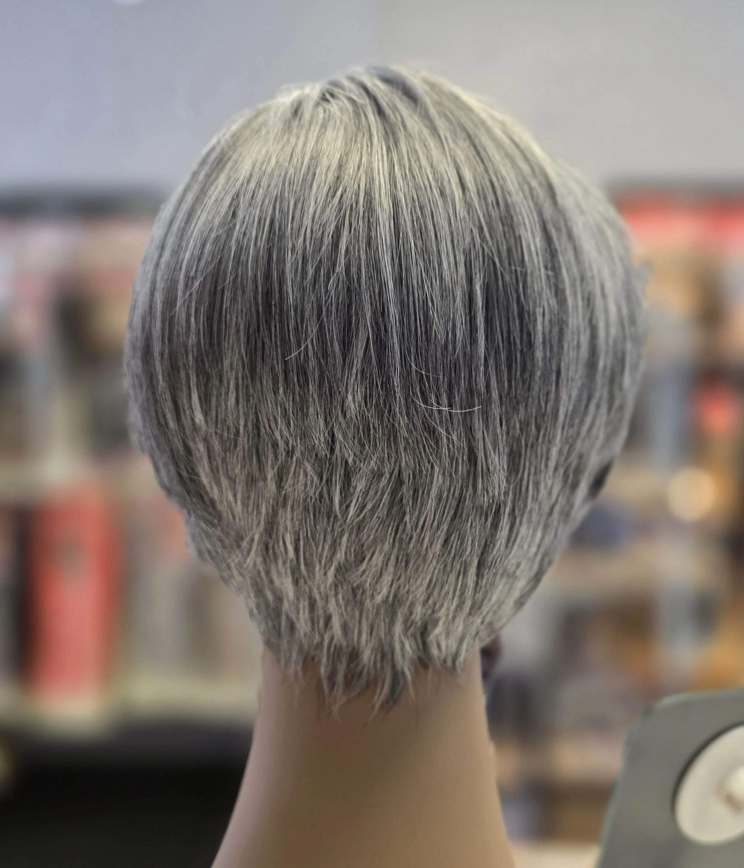 Grey pixie Amore Mia back.jpg