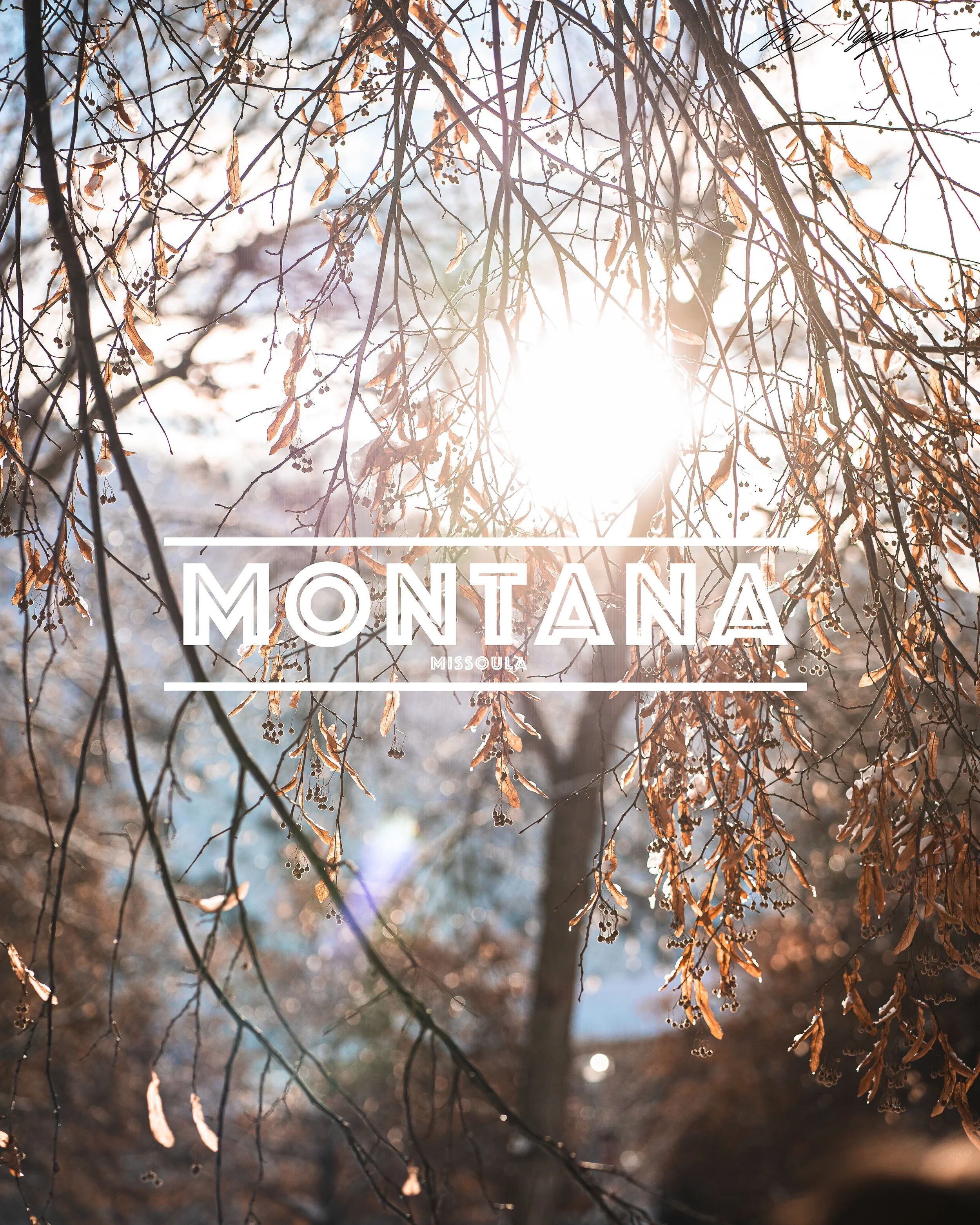 Montana-1.jpg
