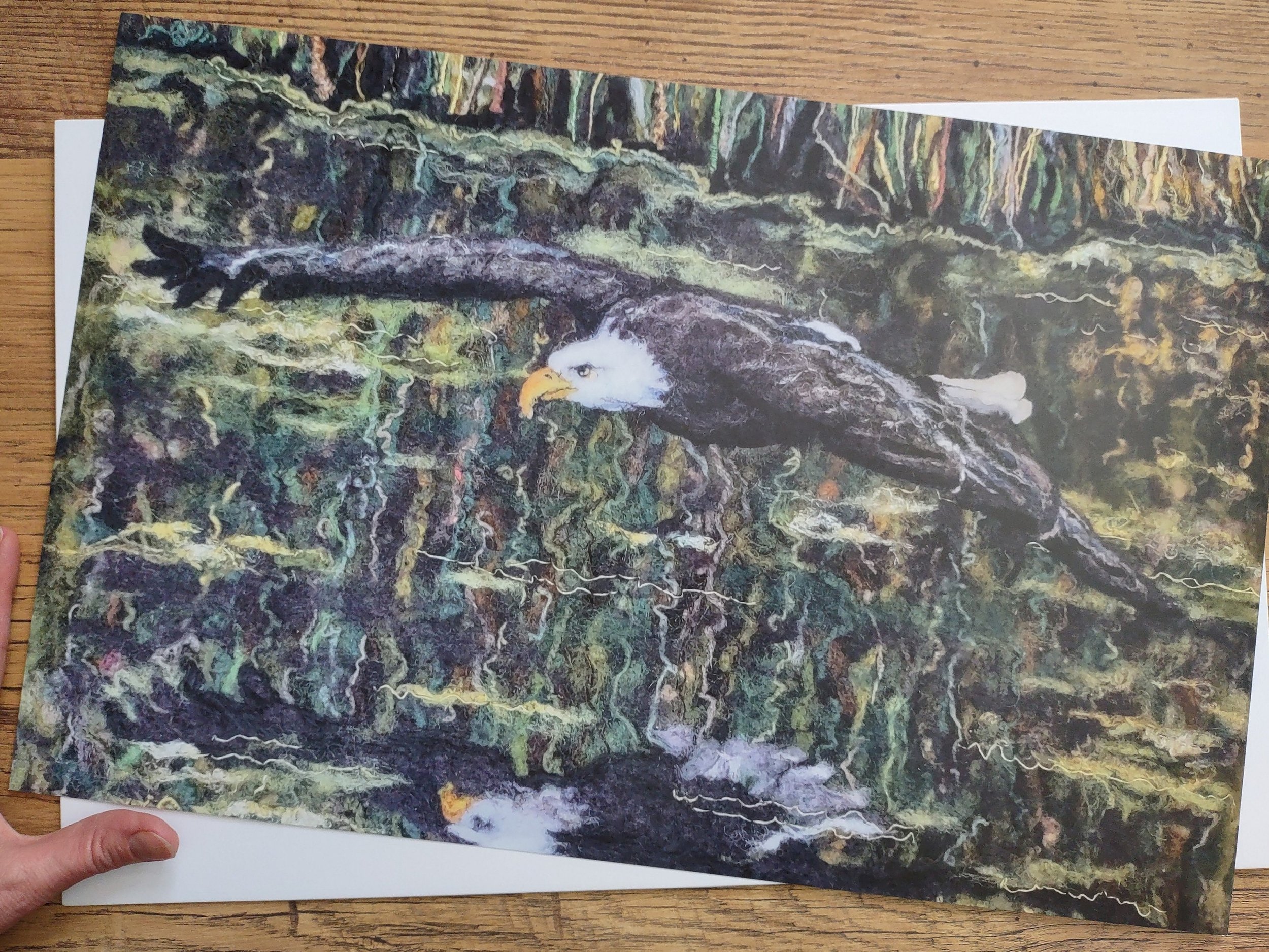 PRINT "Bald Eagle on the Water"
