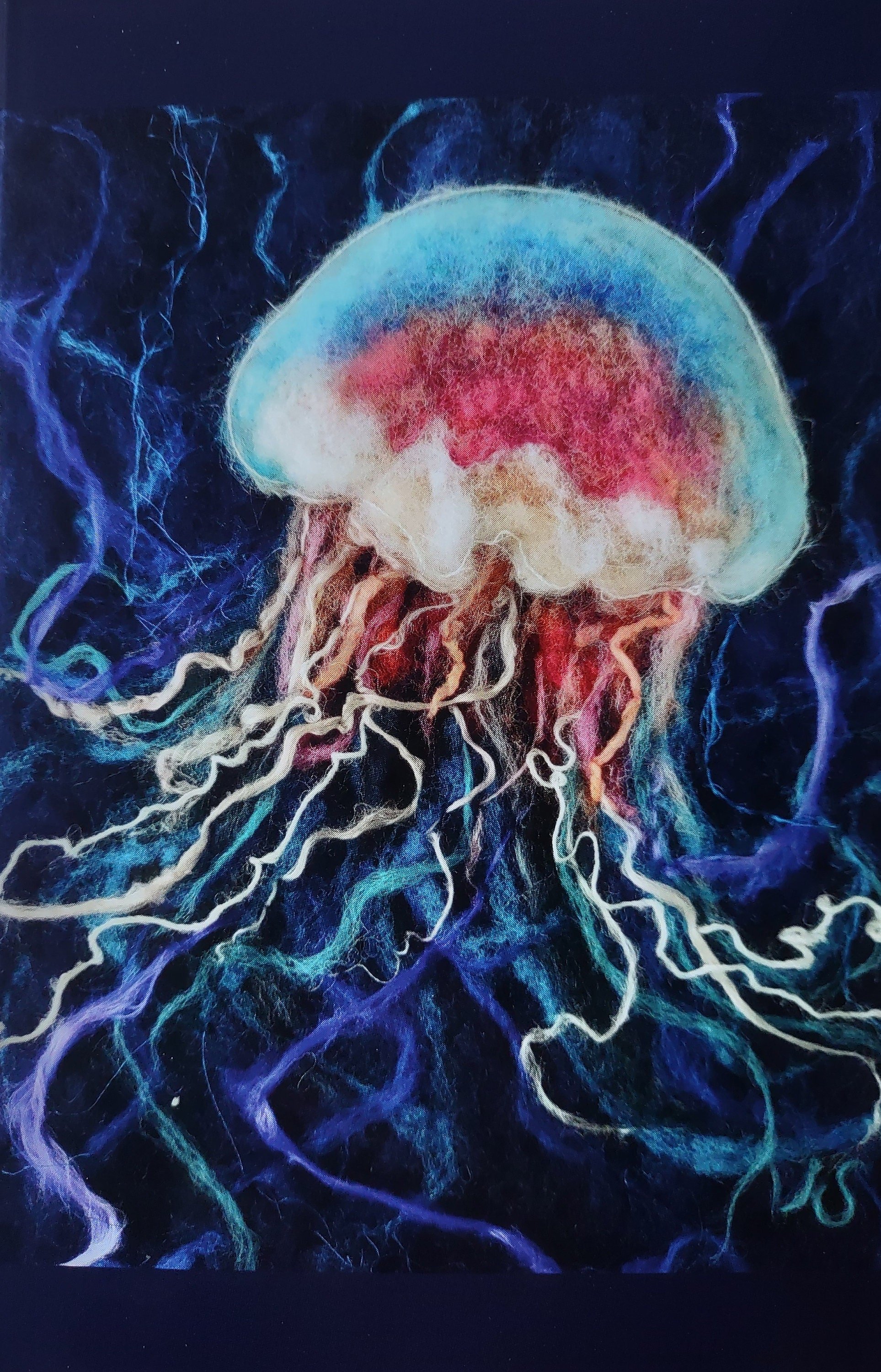 https://i.etsystatic.com/18515745/r/il/fa804d/5633033842/il_fullxfull.5633033842_nfjx.jpg