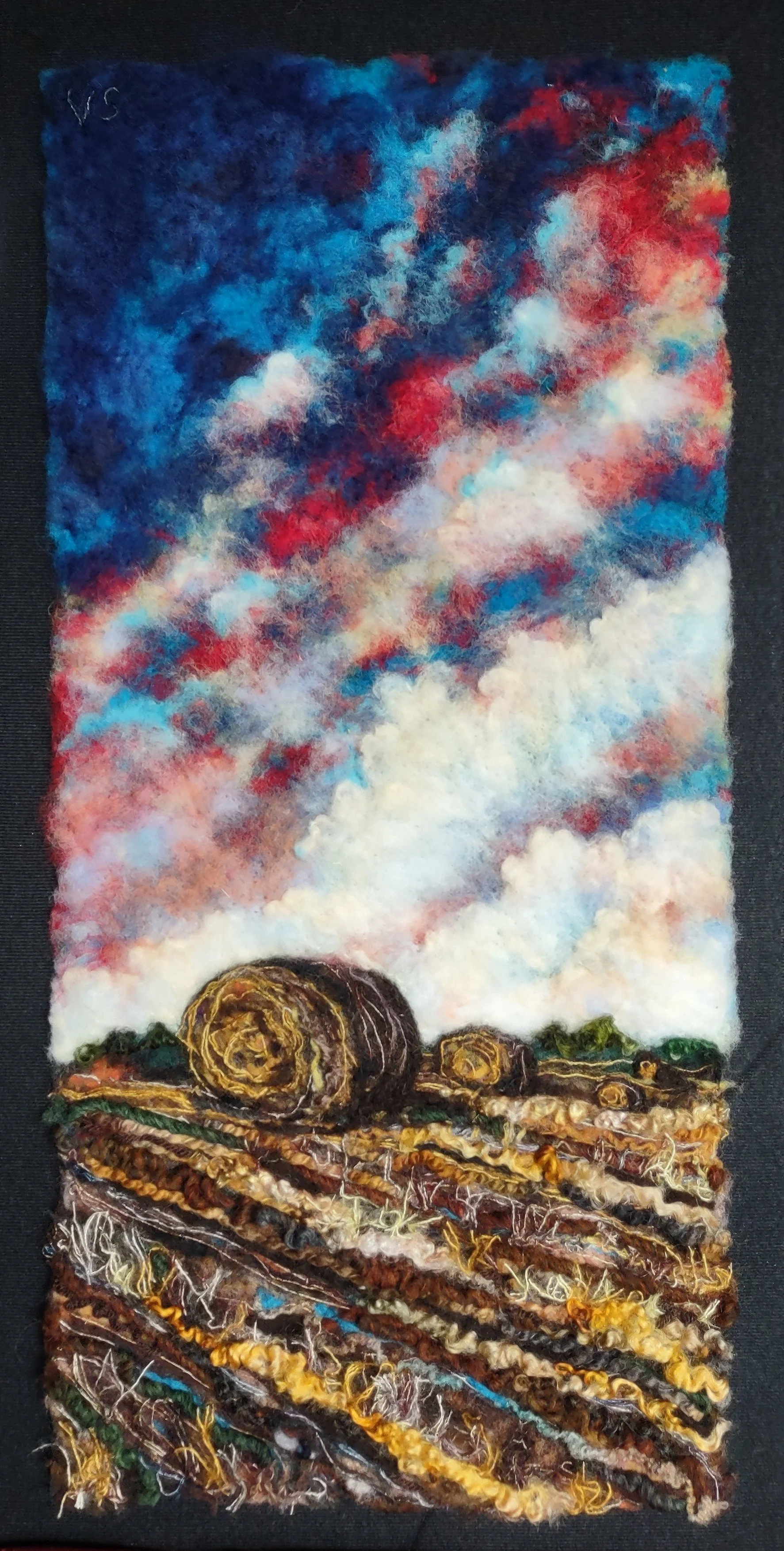 Moody Prairie 2025.jpg