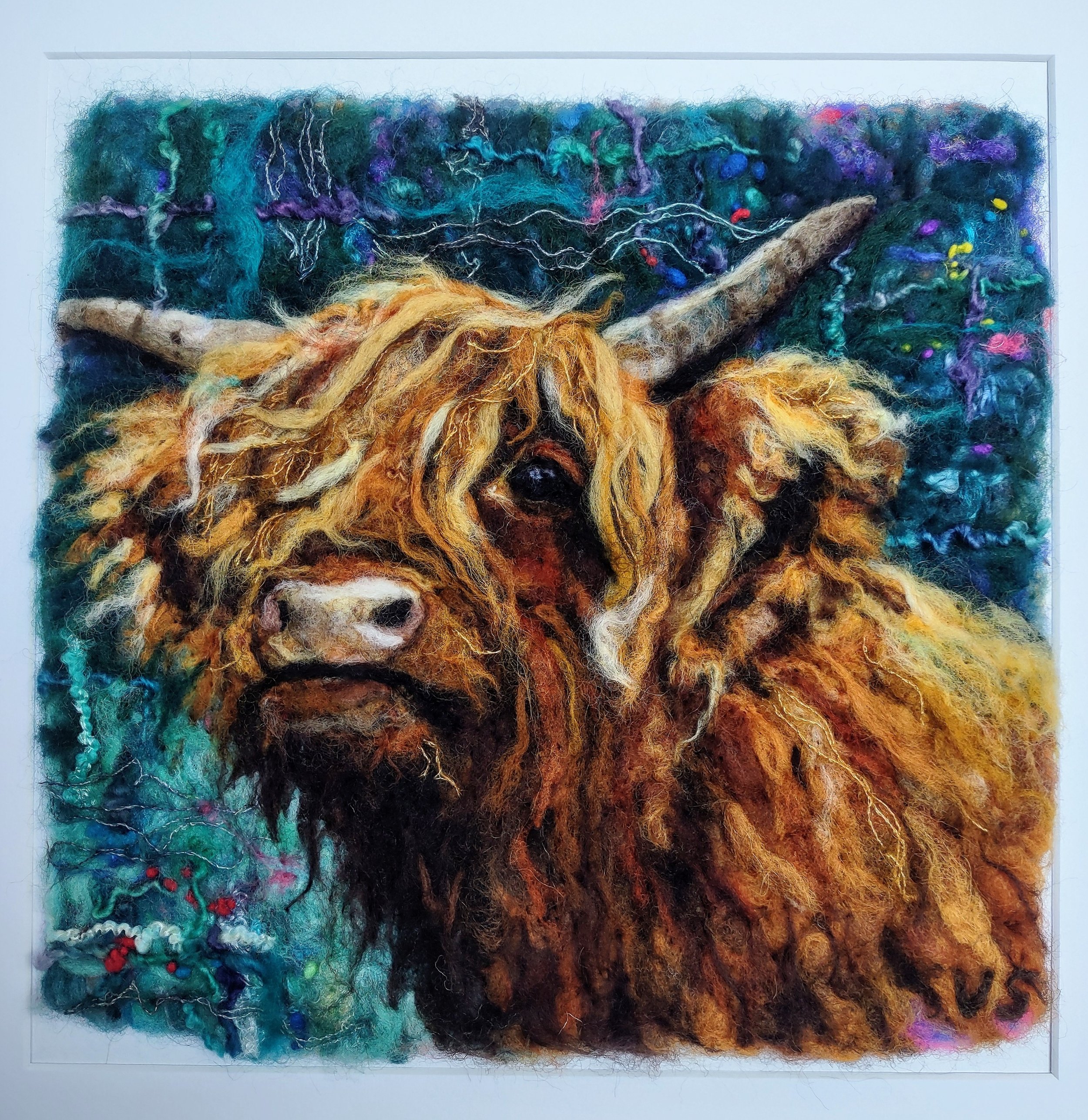 Hairy Coo