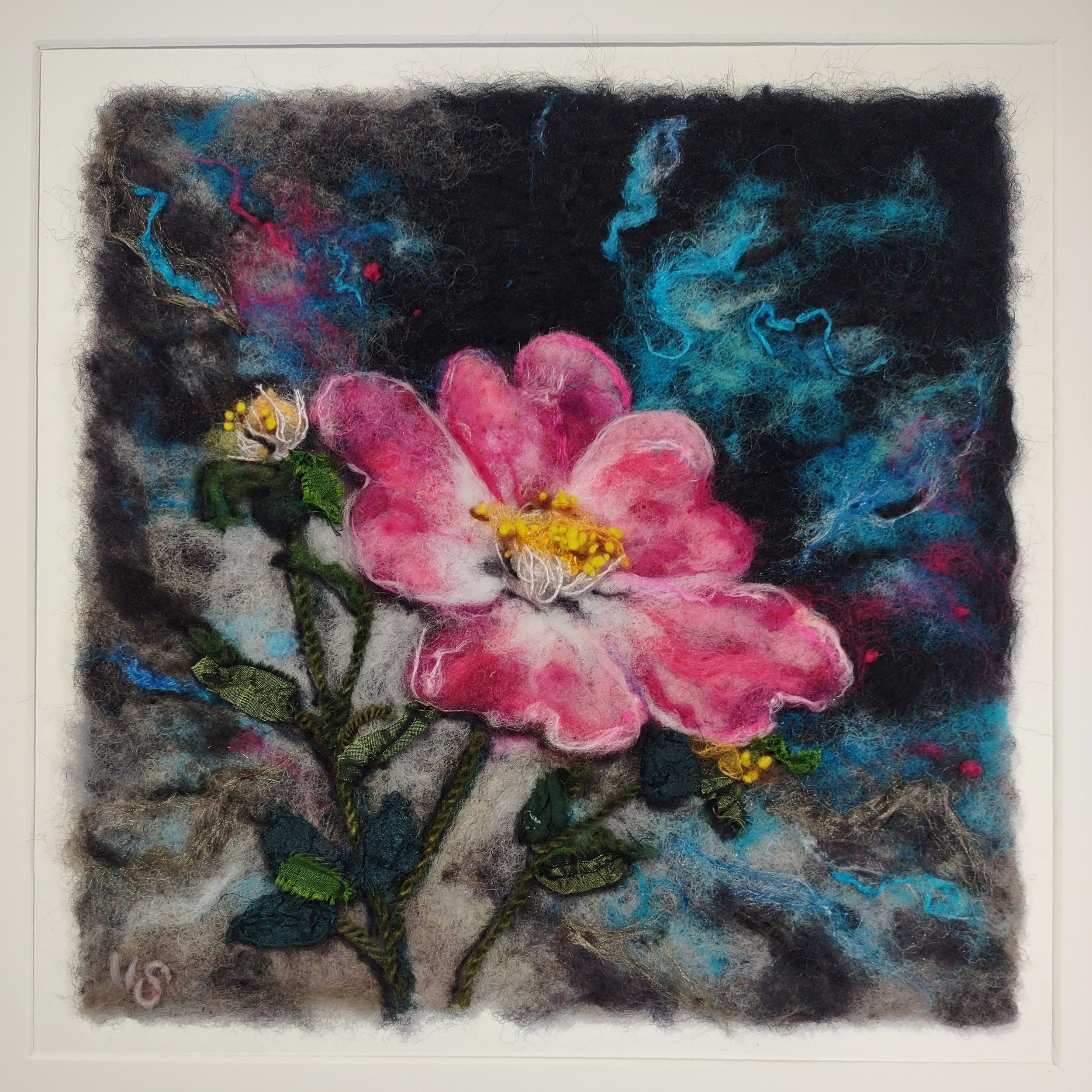 Alberta's Rose
