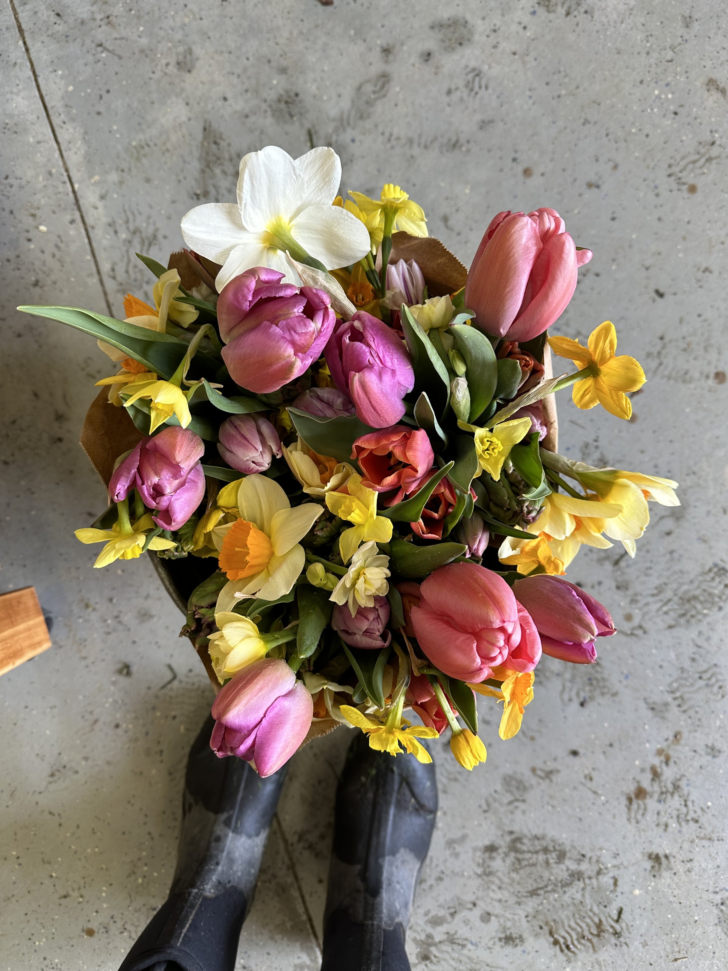 Spring Bouquet.jpg
