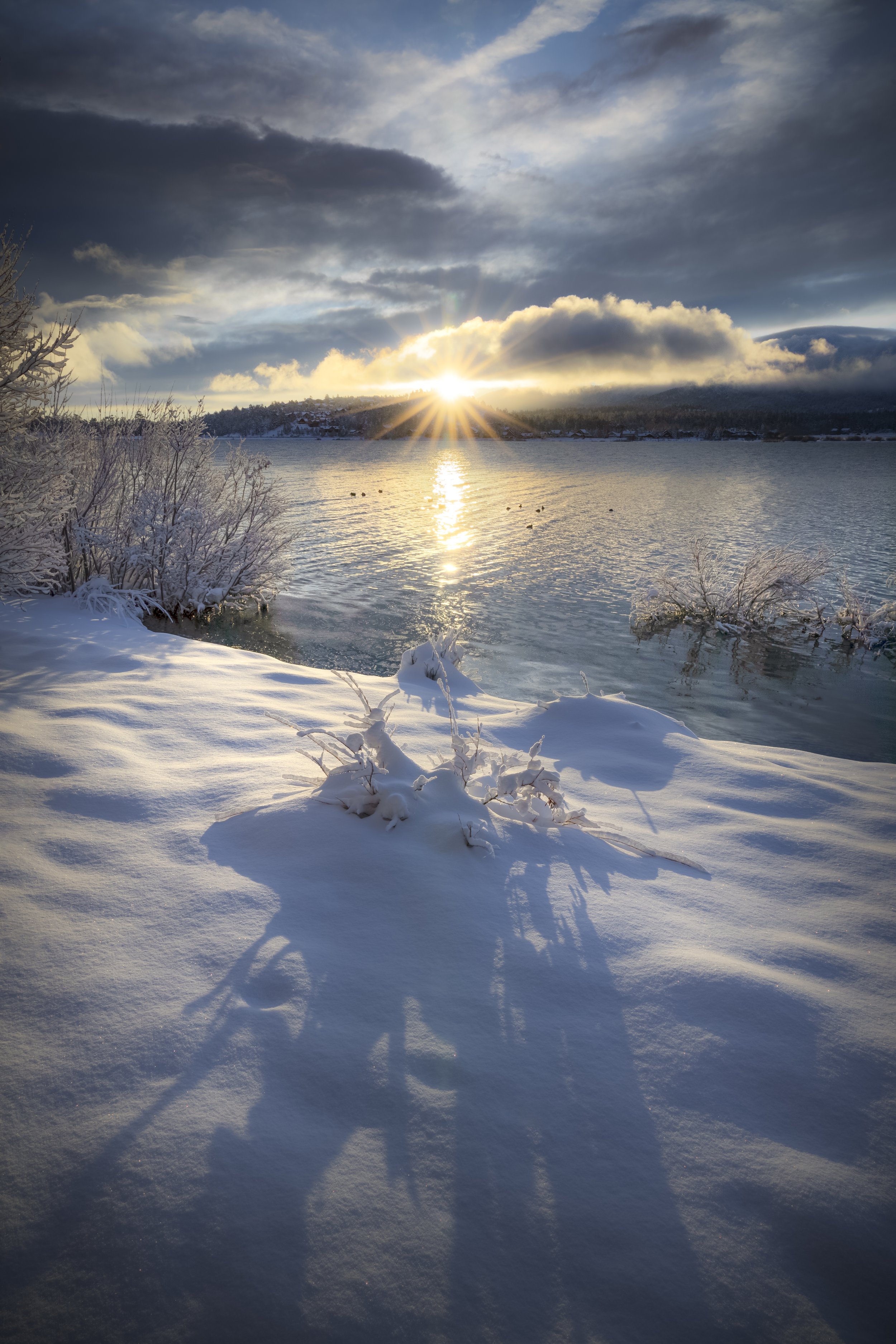 Snow-covered landscape with a lake, trees, and a setting sun casting long shadows on the snow.