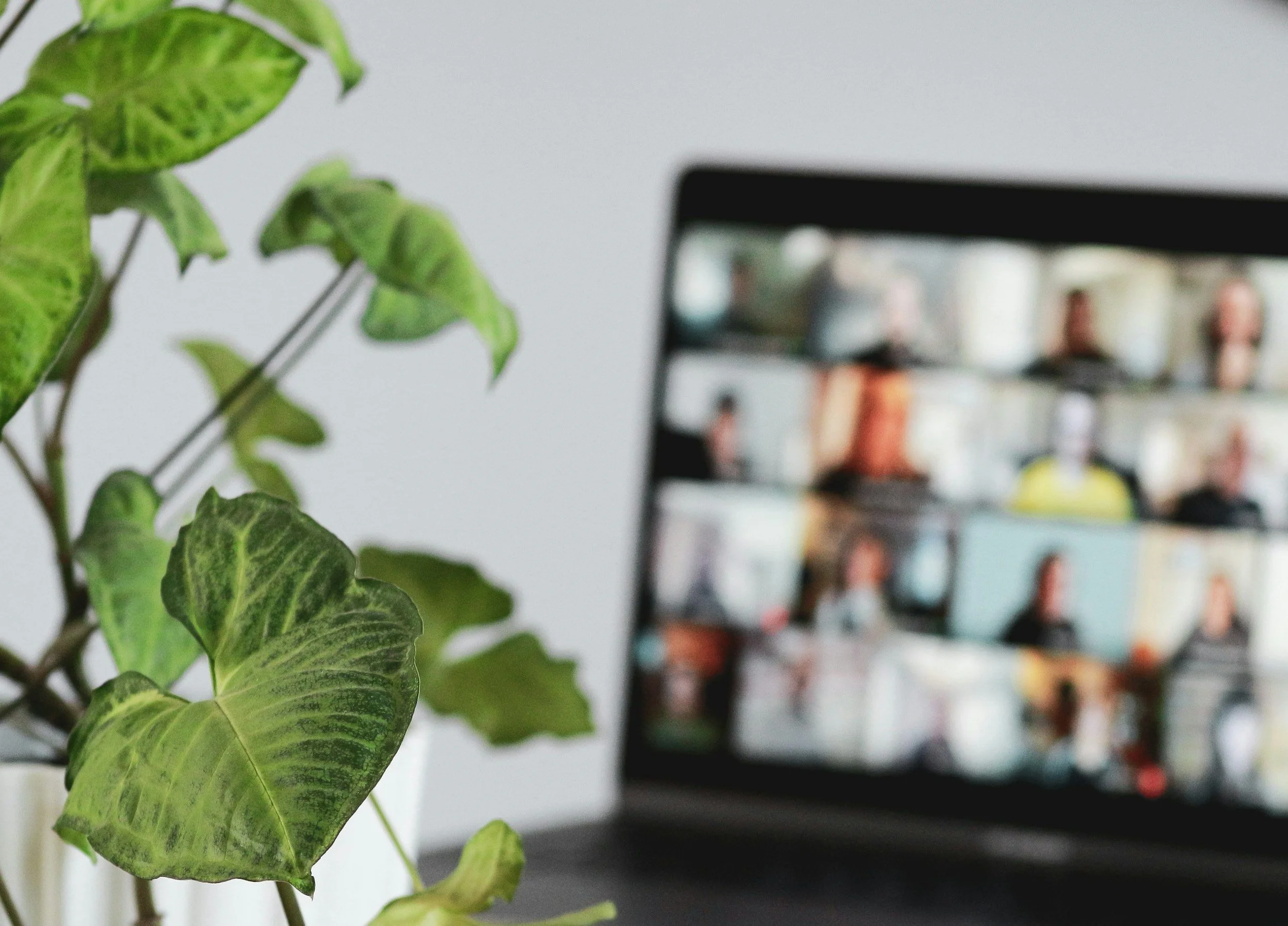 Professionals Community of Practice