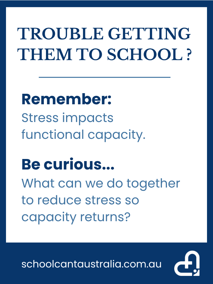 Remember Stress Impacts functional capacity