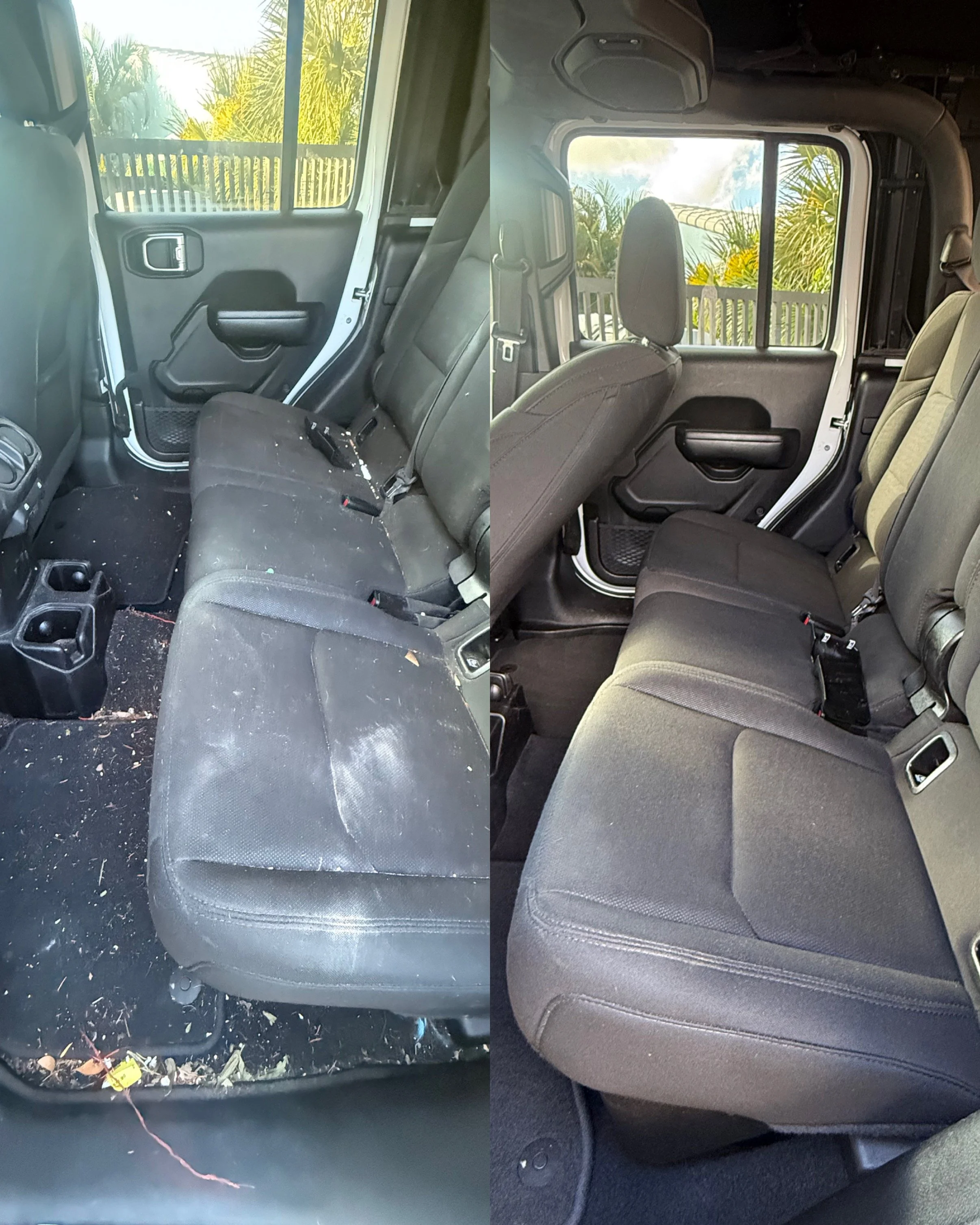 Dog hair removal kendall