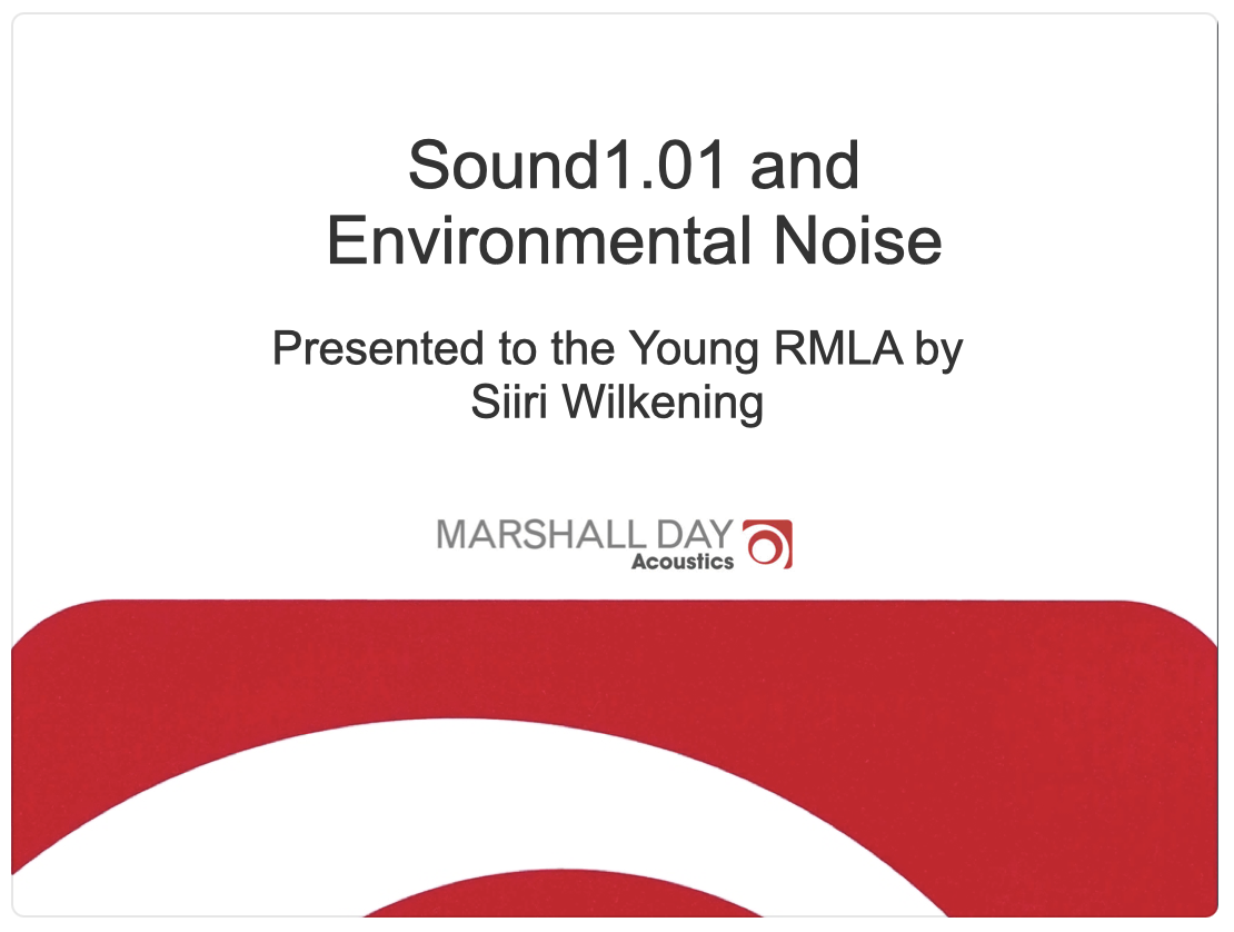 Young RMLA : Noise 101