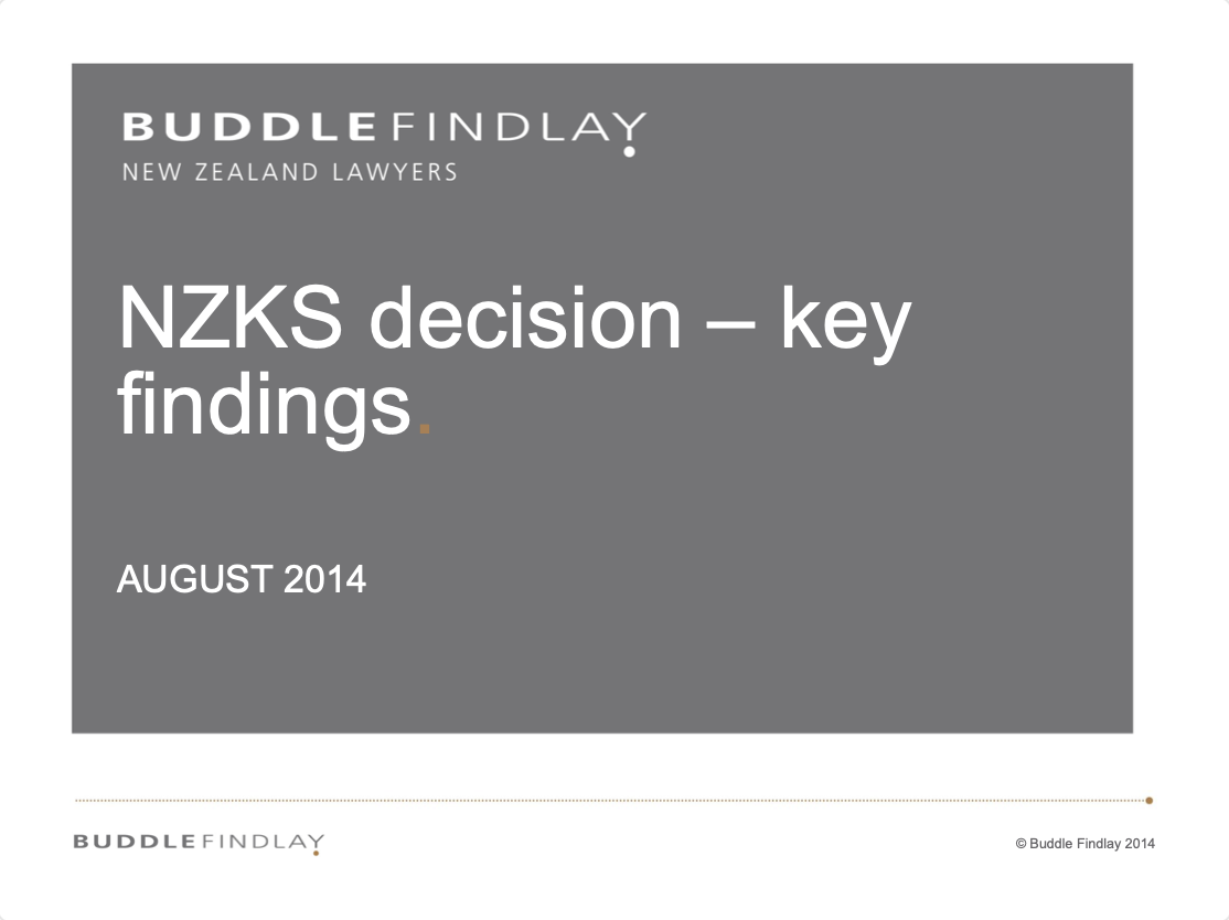 Panel discussion on the New Zealand King Salmon Decision